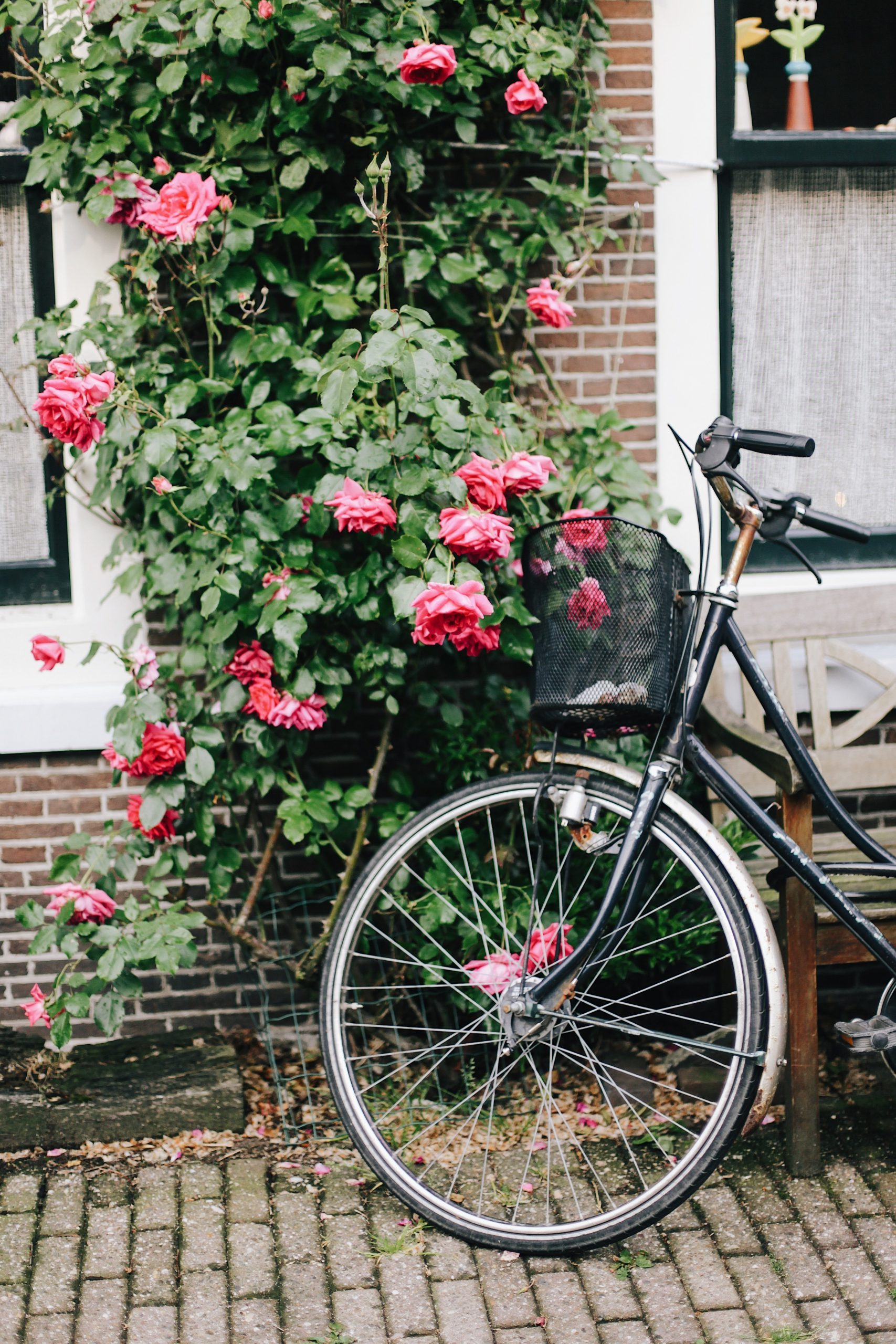 consejos para viajar a amsterdam