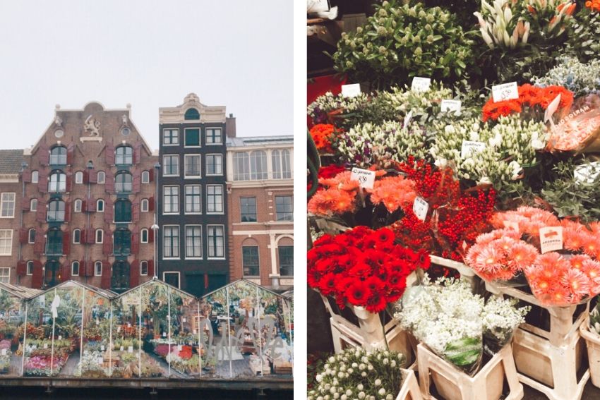 que ver y hacer en Ámsterdam