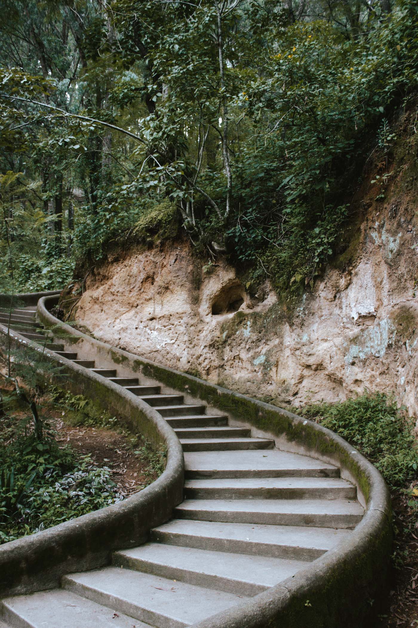 camino al cerro de la Cruz