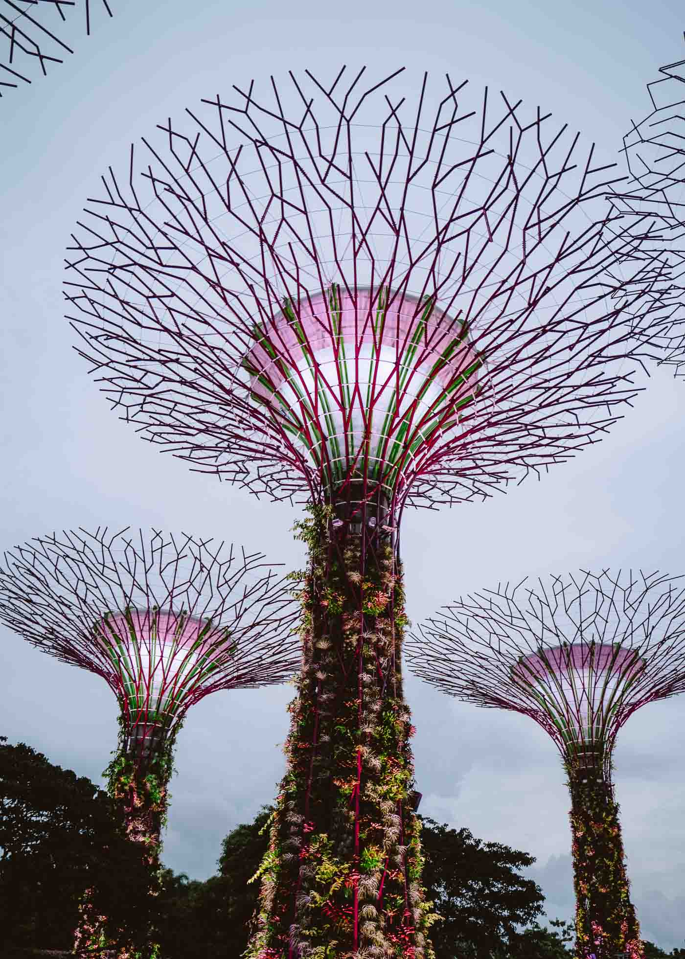 que ver en Singapur en 2 dias