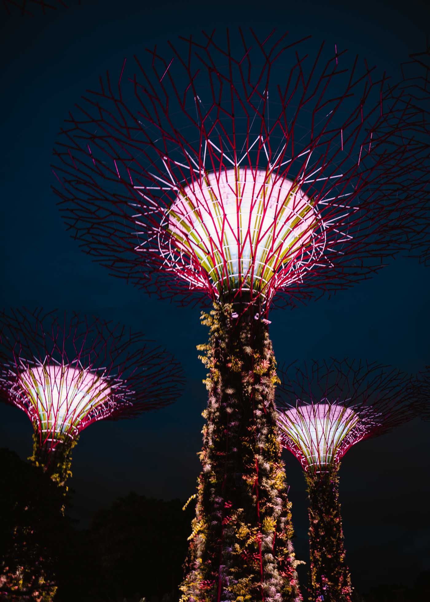 que ver en Singapur en 2 dias