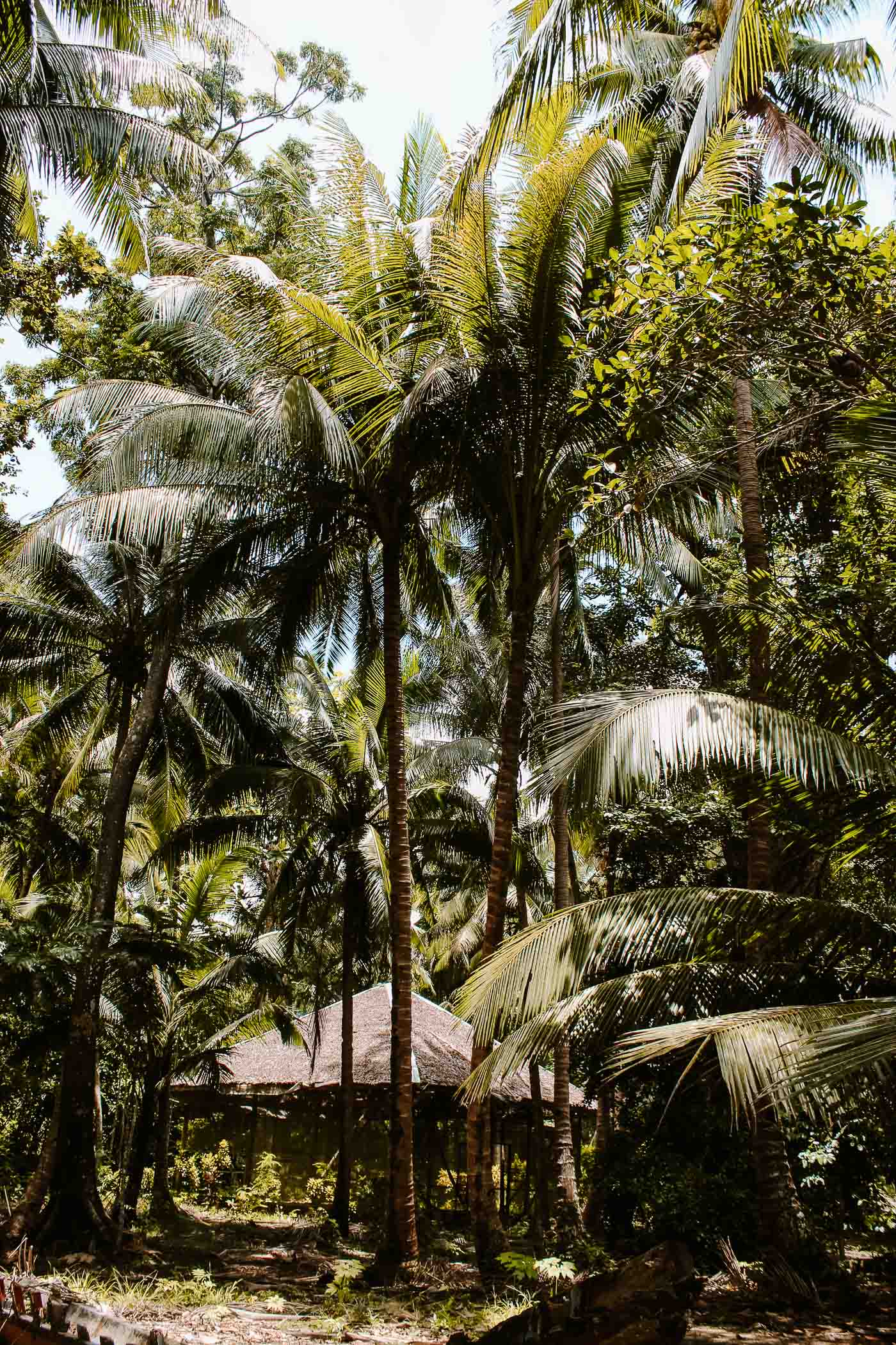 15 dias en filipinas por libre