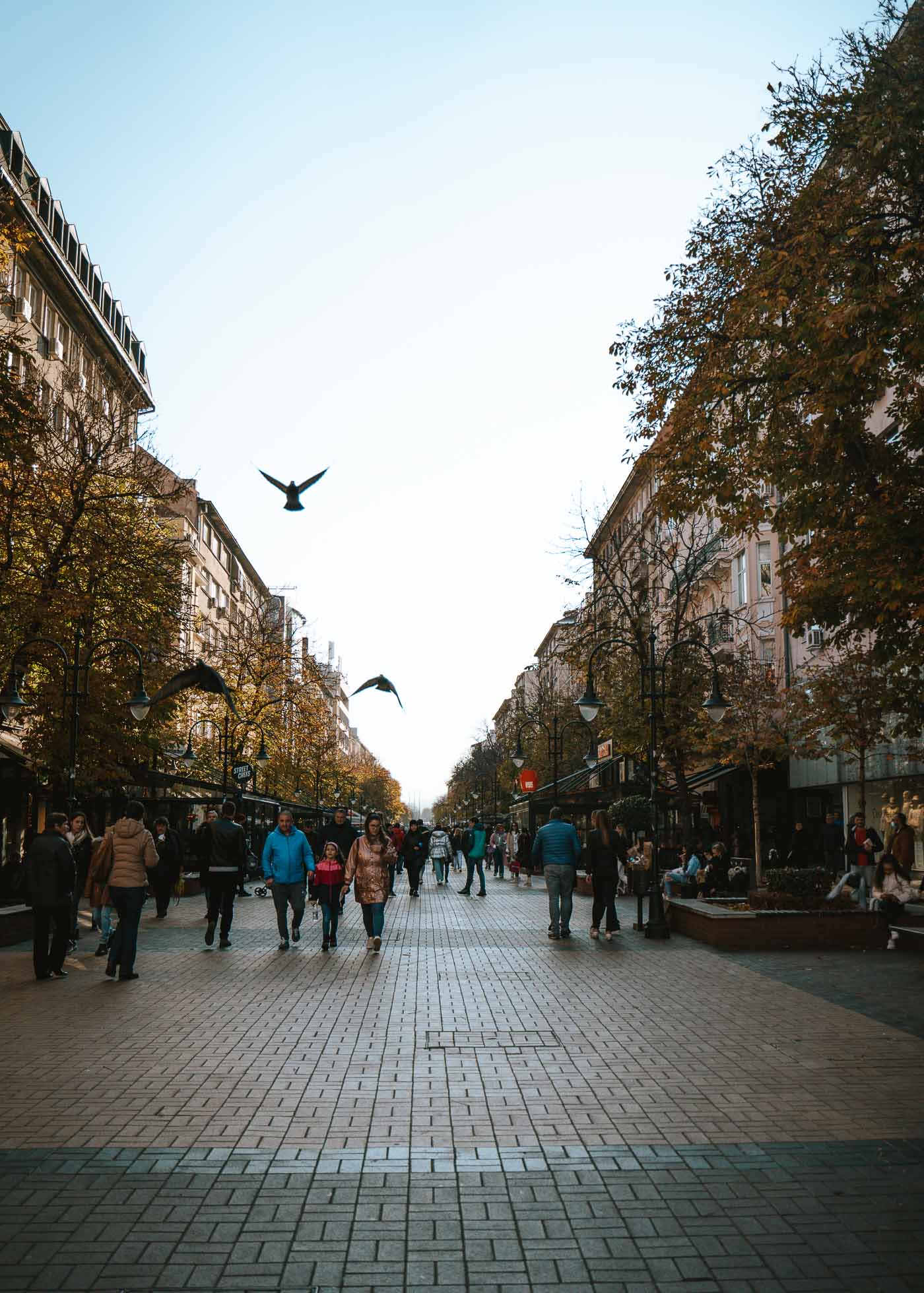 La calle más famosa de la ciudad, Boulevard Vitosha