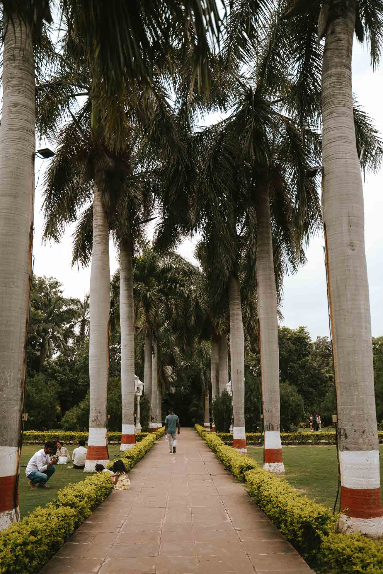 Que ver en el Norte de la India en 15 dias