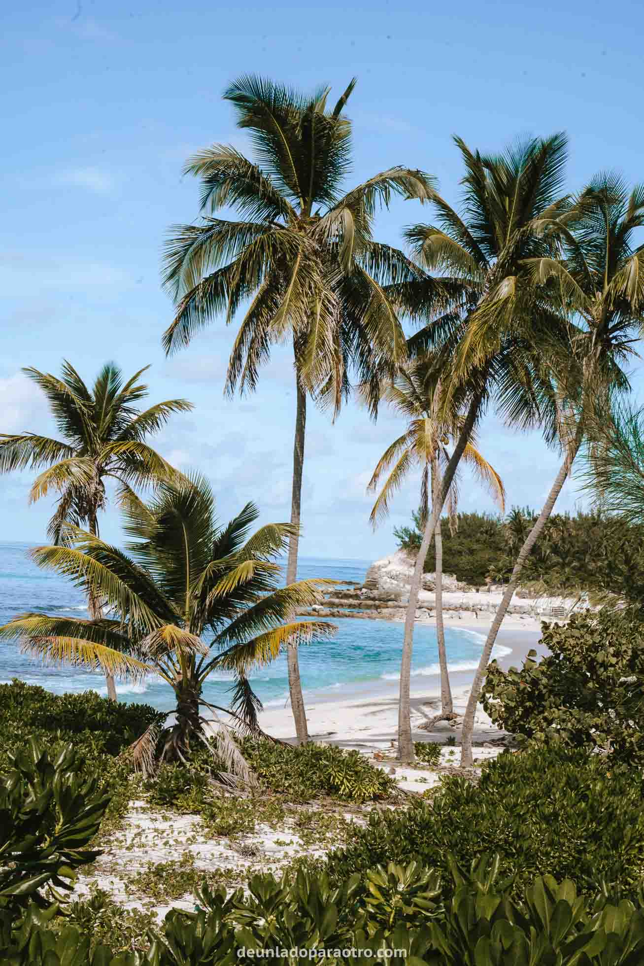 Algo que hacer en Bahamas, es disfrutar de sus playas.