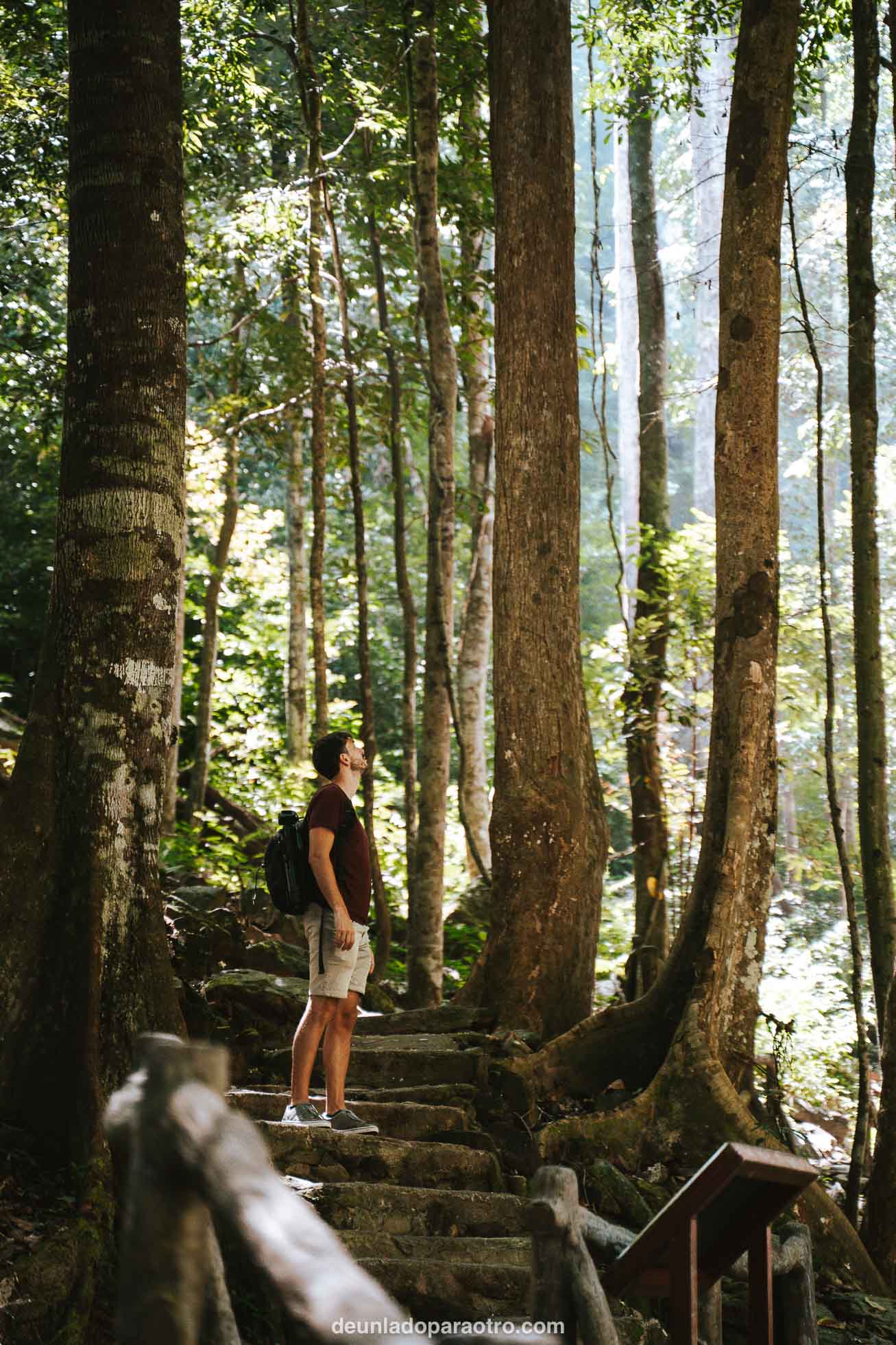 Cascada de Temurun un lugar con encanto que ver en Langkawi
