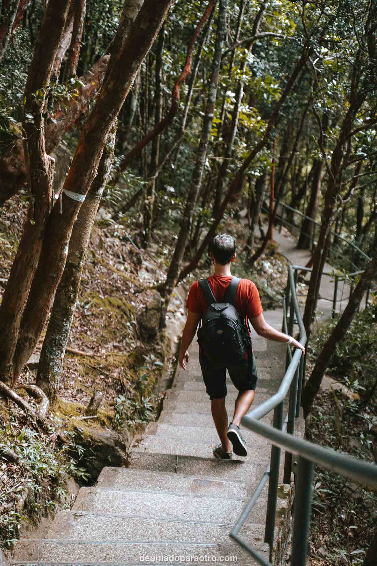Nature Walk un recorrido con encanto que hacer en Langkawi para llegar al Sky Bridge
