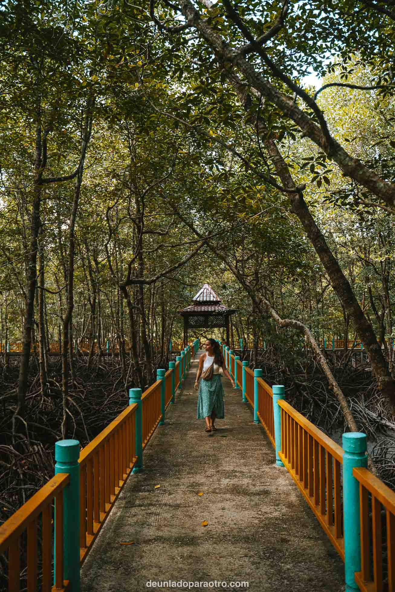 Recorrer los Manglares de Kilim Geoforest Park, un plan de naturaleza que hacer en Langkawi