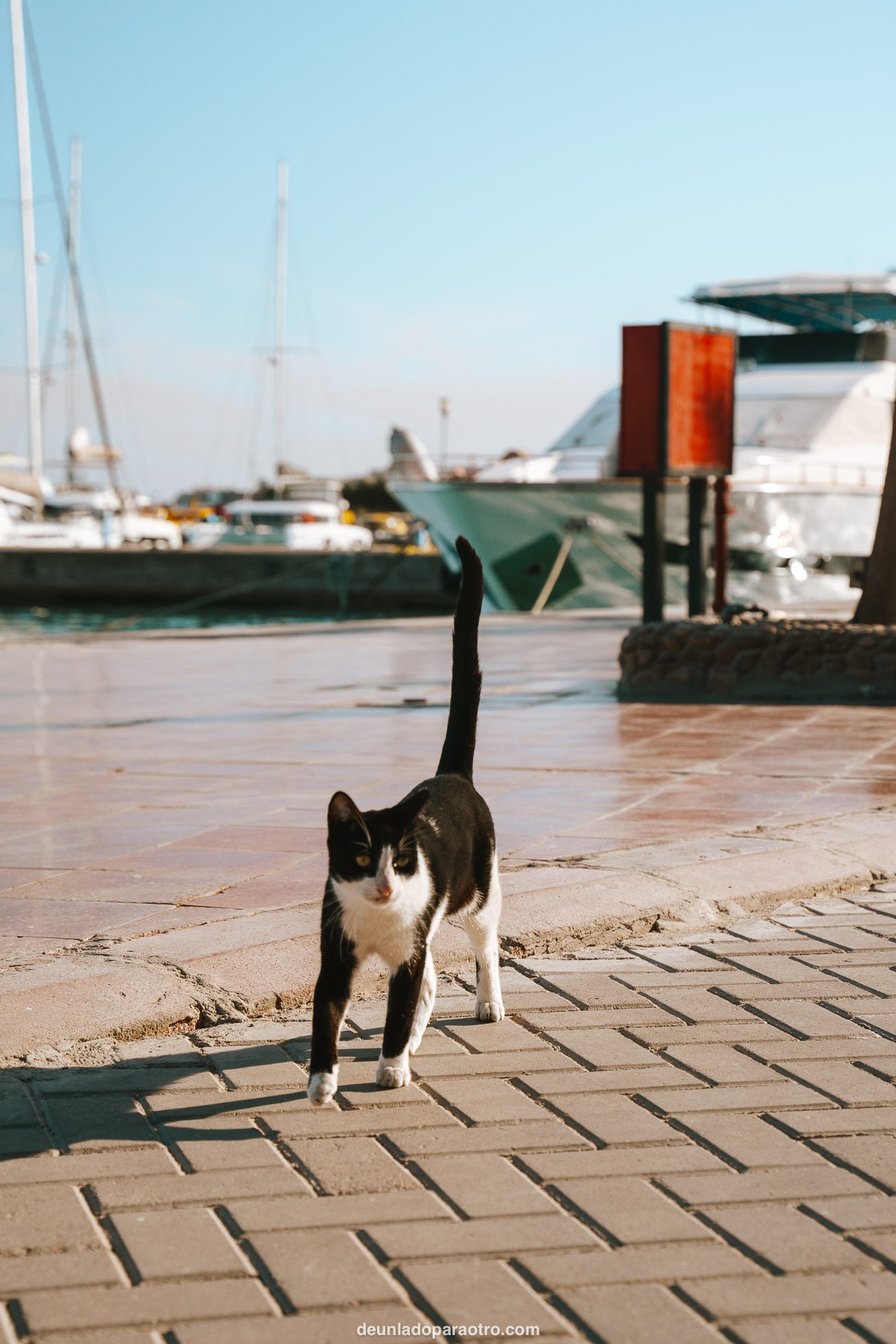 Recorrer Hurghada Marina es una de las 5 mejores cosas que hacer en Hurghada en 1 día