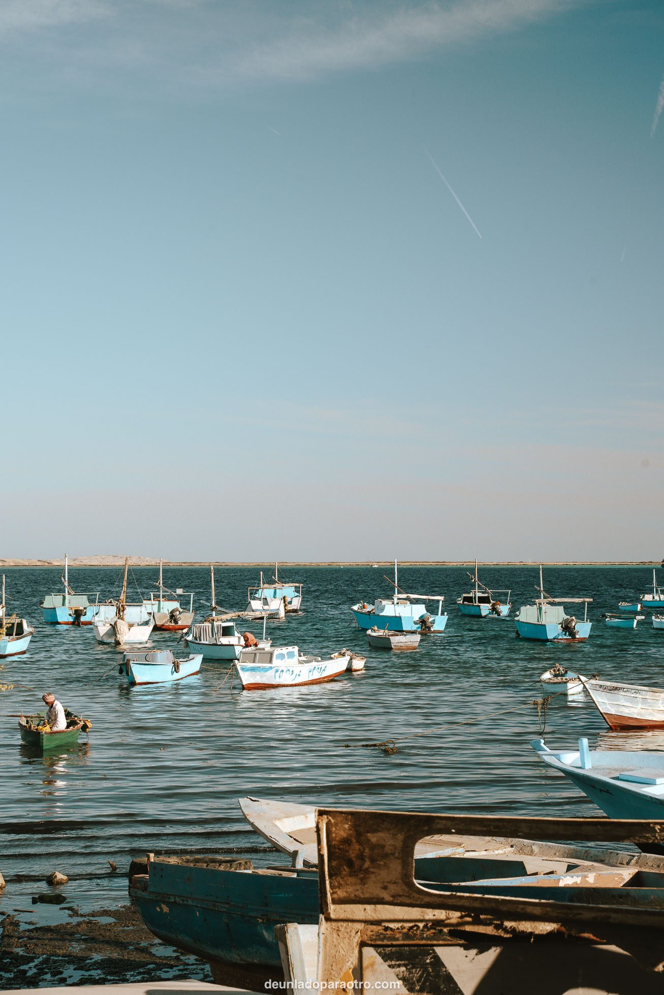 Visitar el mercado del pescado una de las 5 mejores cosas que hacer en Hurghada en 1 día