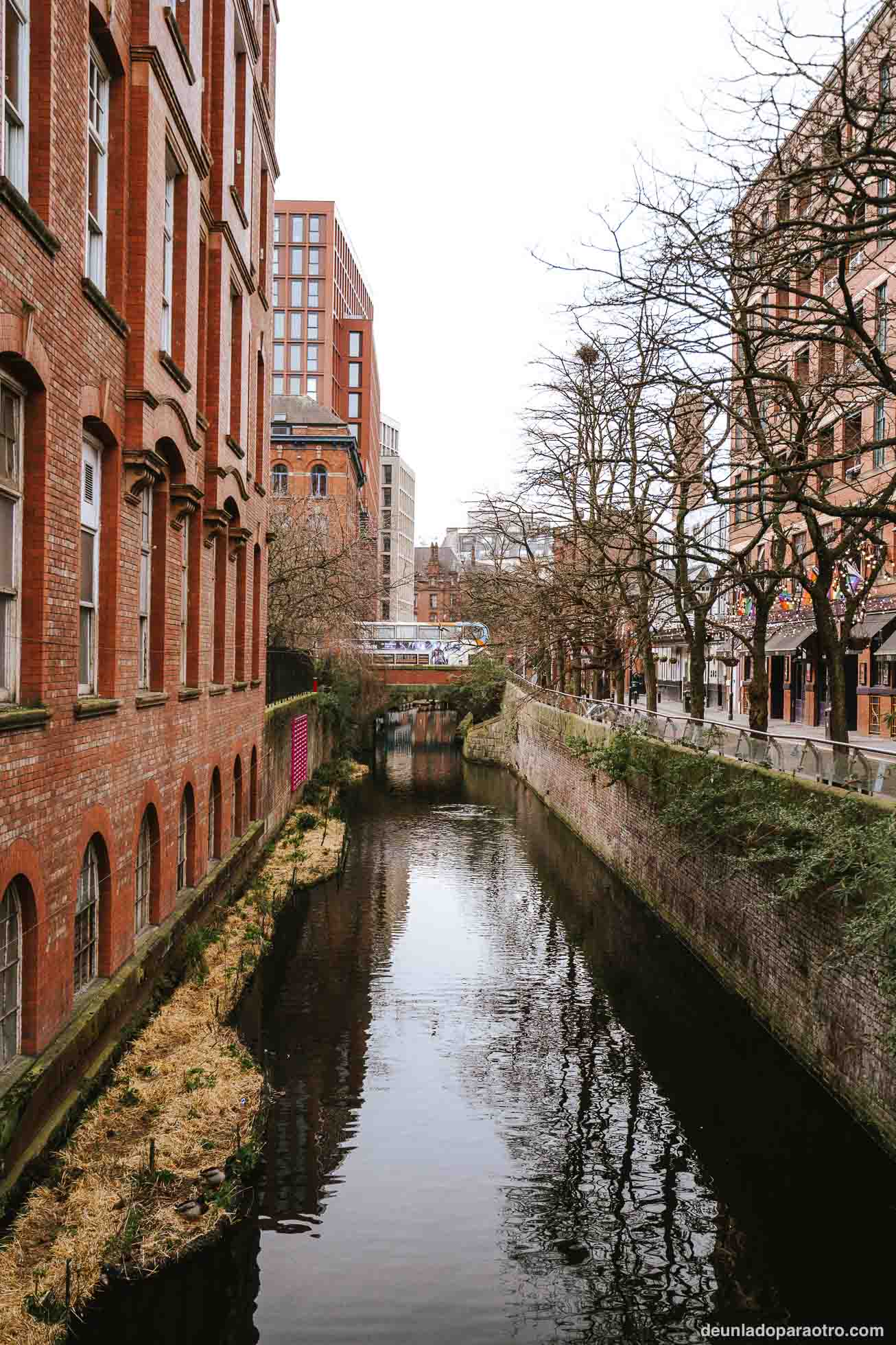 Canal Street, una emblemática calle peatonal que ver en Manchester