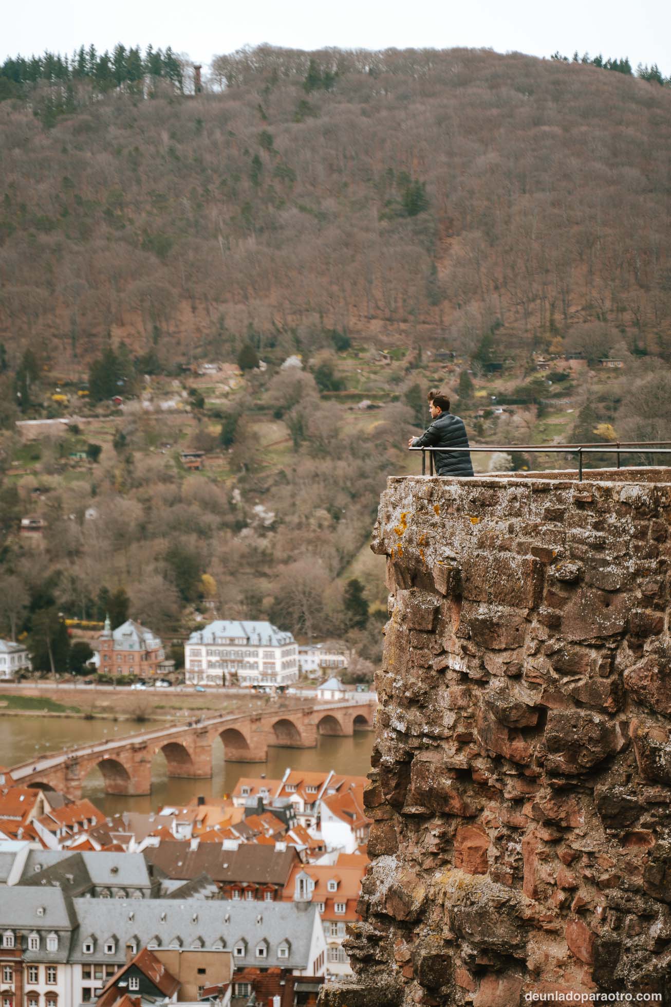Vistas desde el Castillo de Heidelberg, la atracción más popular que ver en Heidelberg