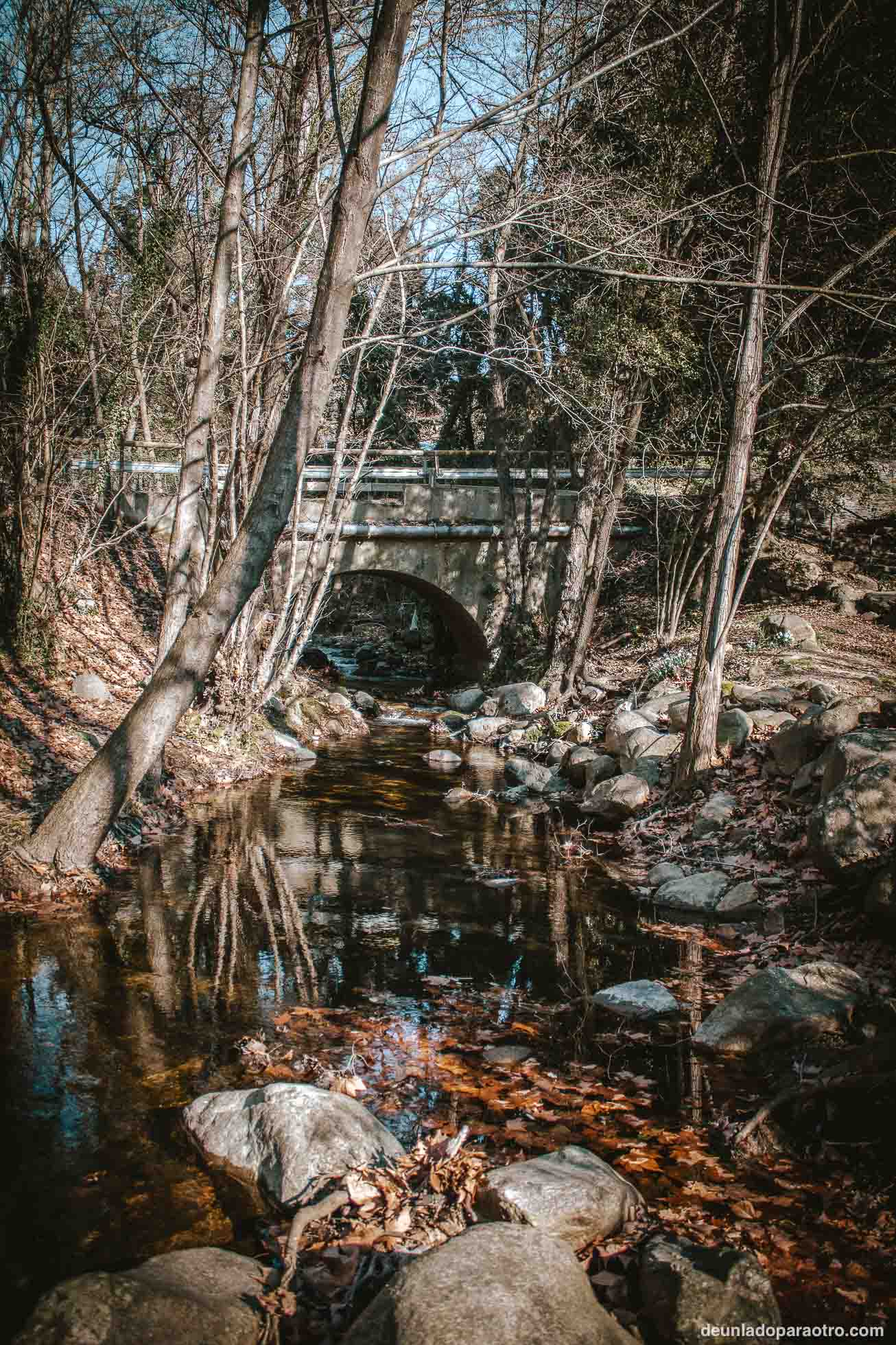 Montseny, una de las excursiones más populares que hacer desde Barcelona en un día