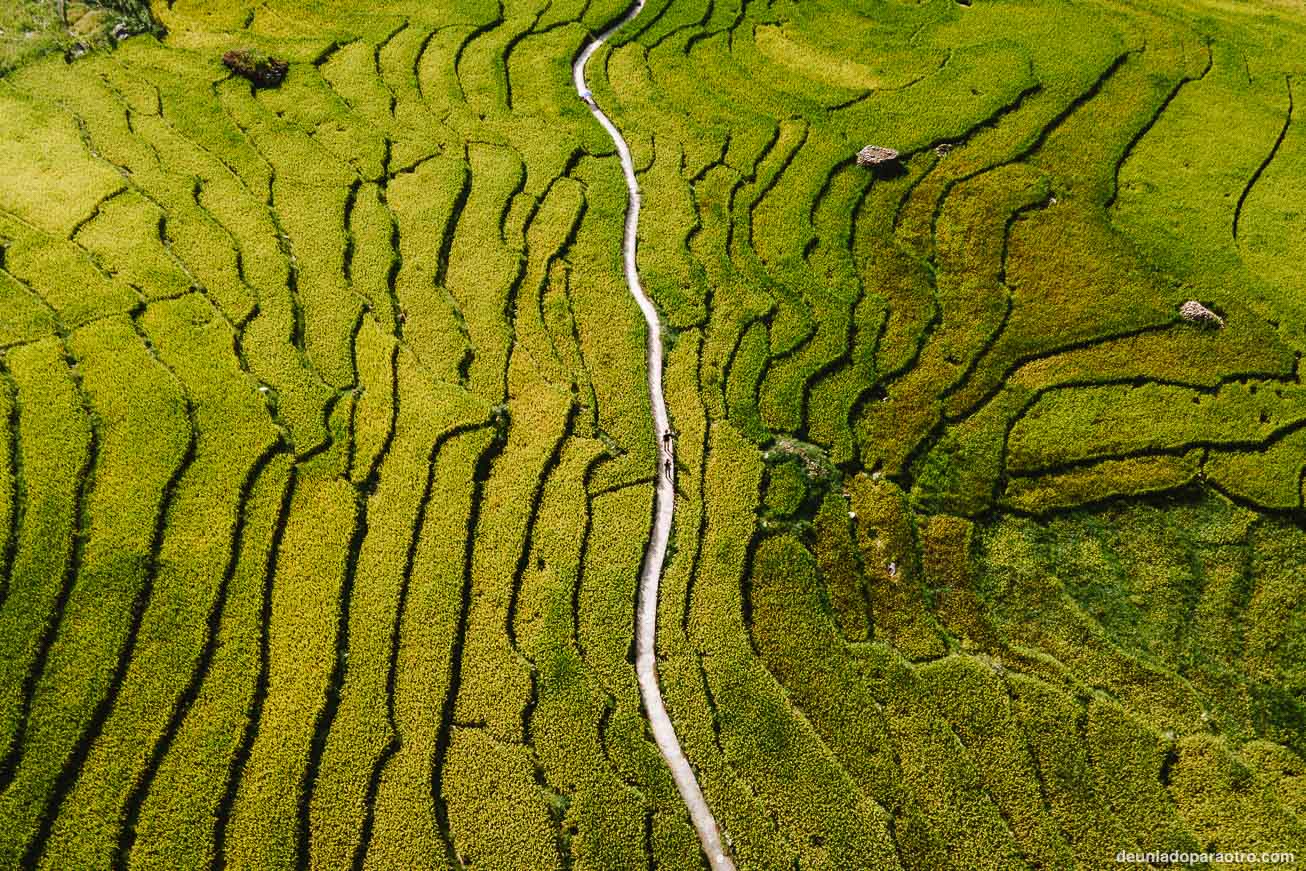 Sapa, una región que no te puedes perder en tu viaje a Vietnam por libre en 18 dias