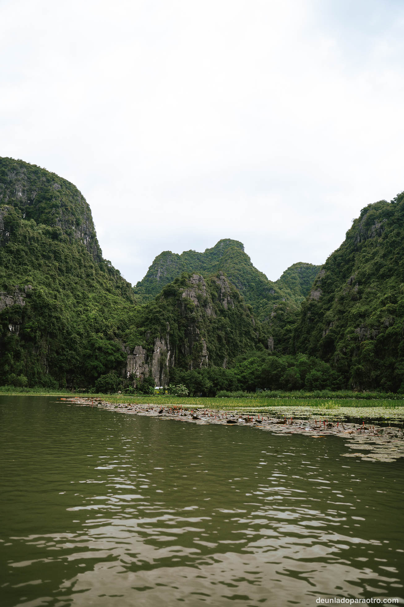 Paseo en barca por Tam Coc o Trang An, una de las mejores cosas que hacer en Ninh Binh