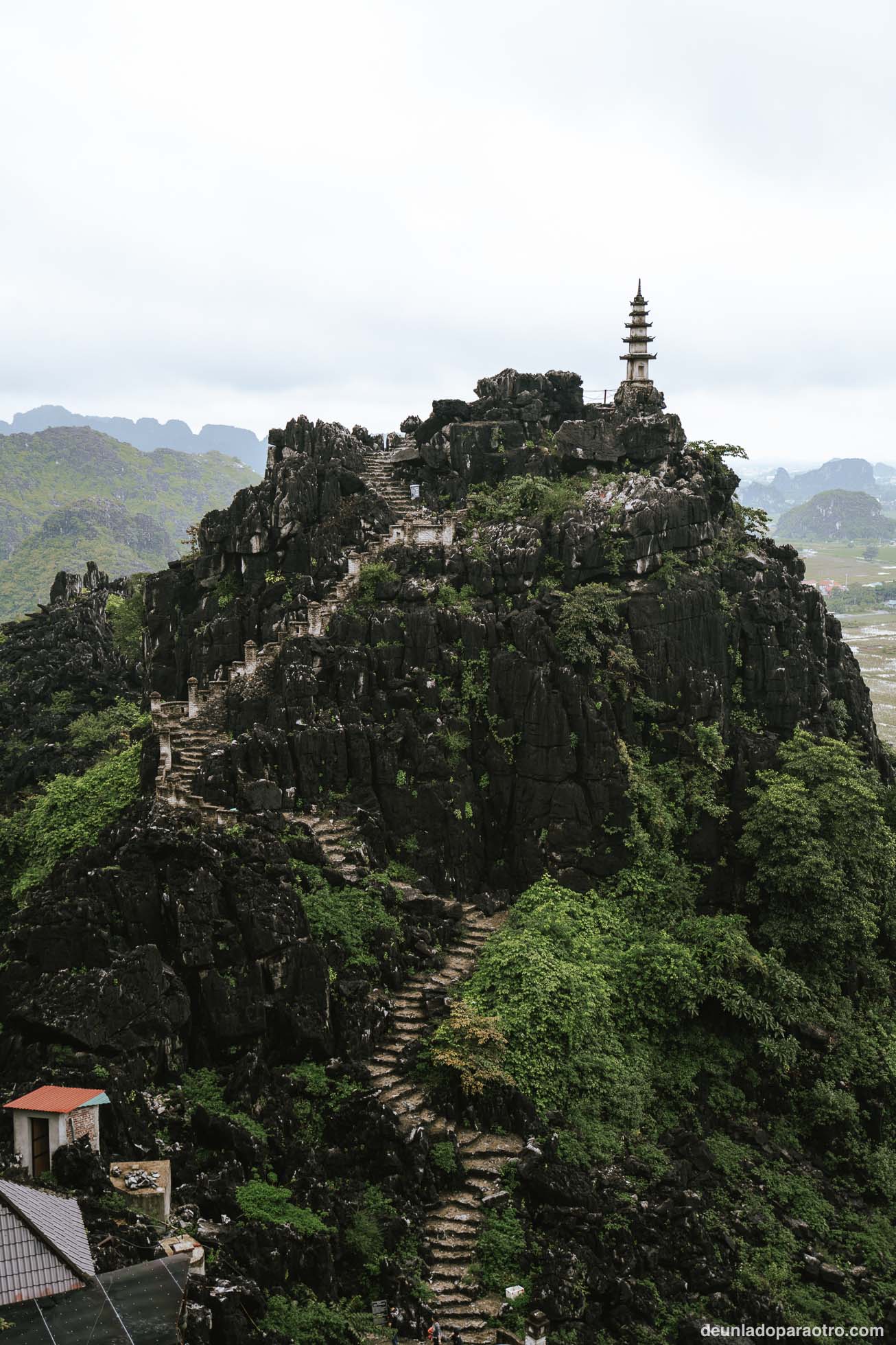Mua Caves y sus miradores, la mejor excursión que hacer en Ninh Binh