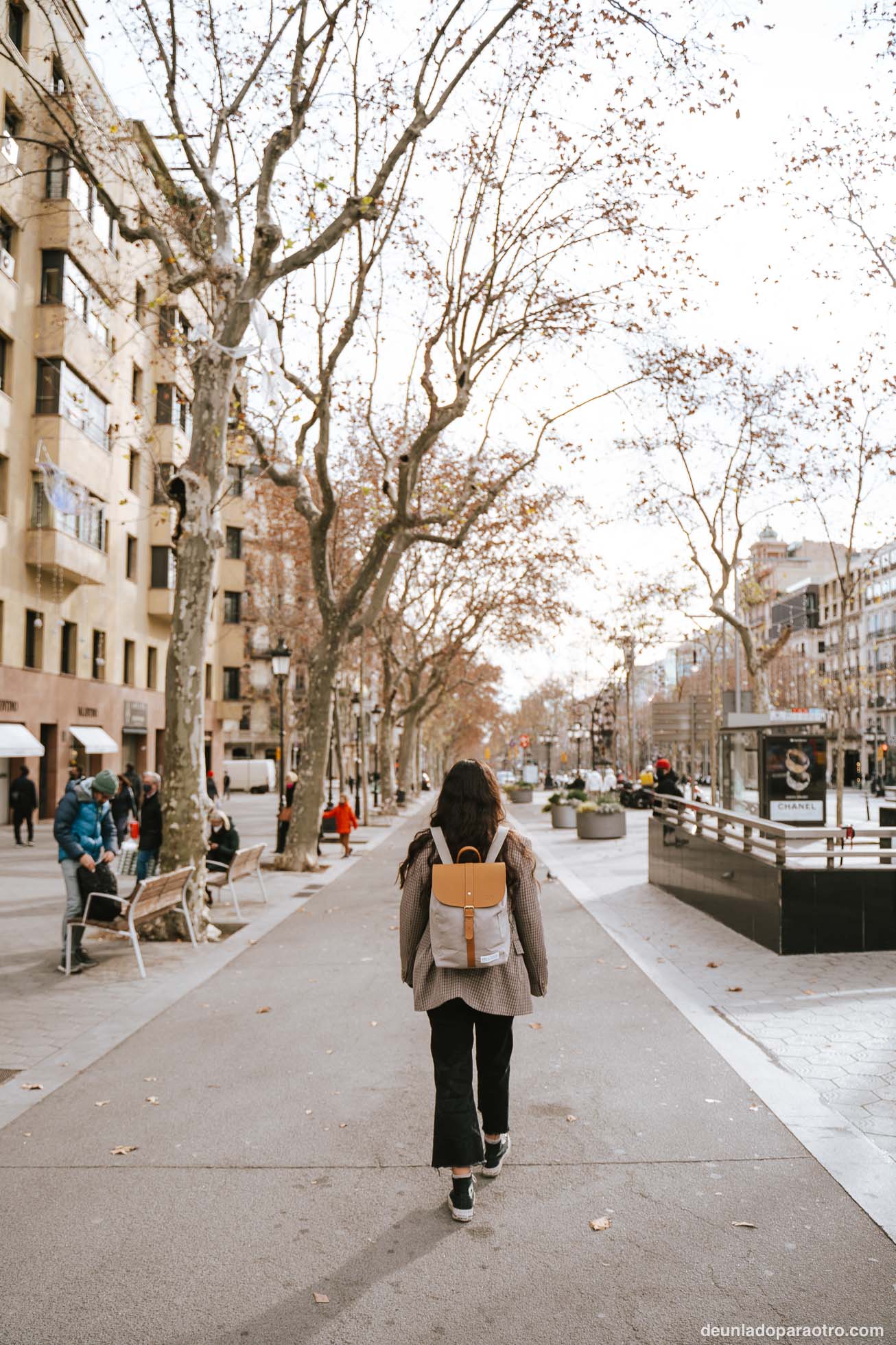 Paseo de Gracia, la avenida comercial más importante que ver en Barcelona en 3 días