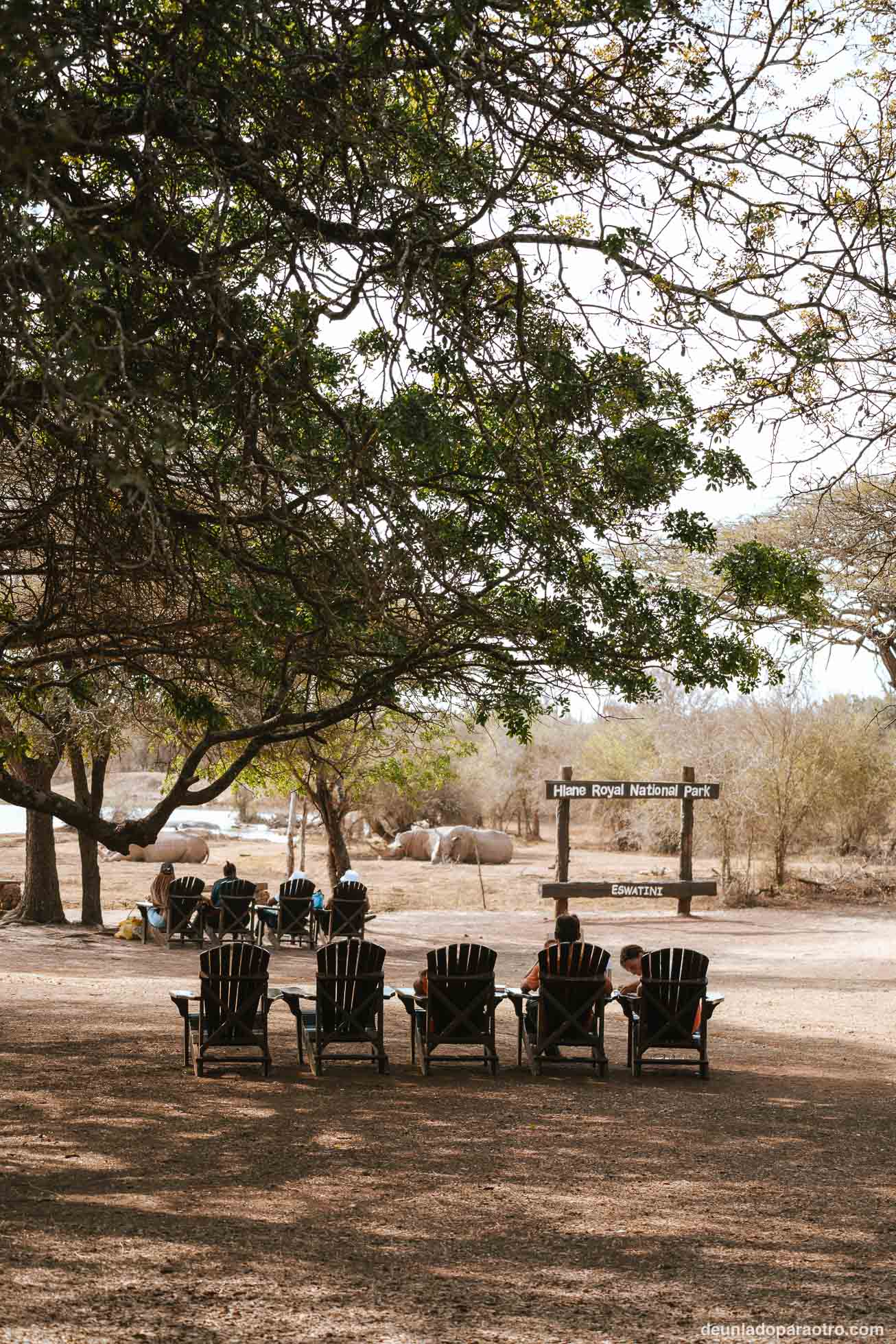 Visitar Hlane National Park en Eswatini