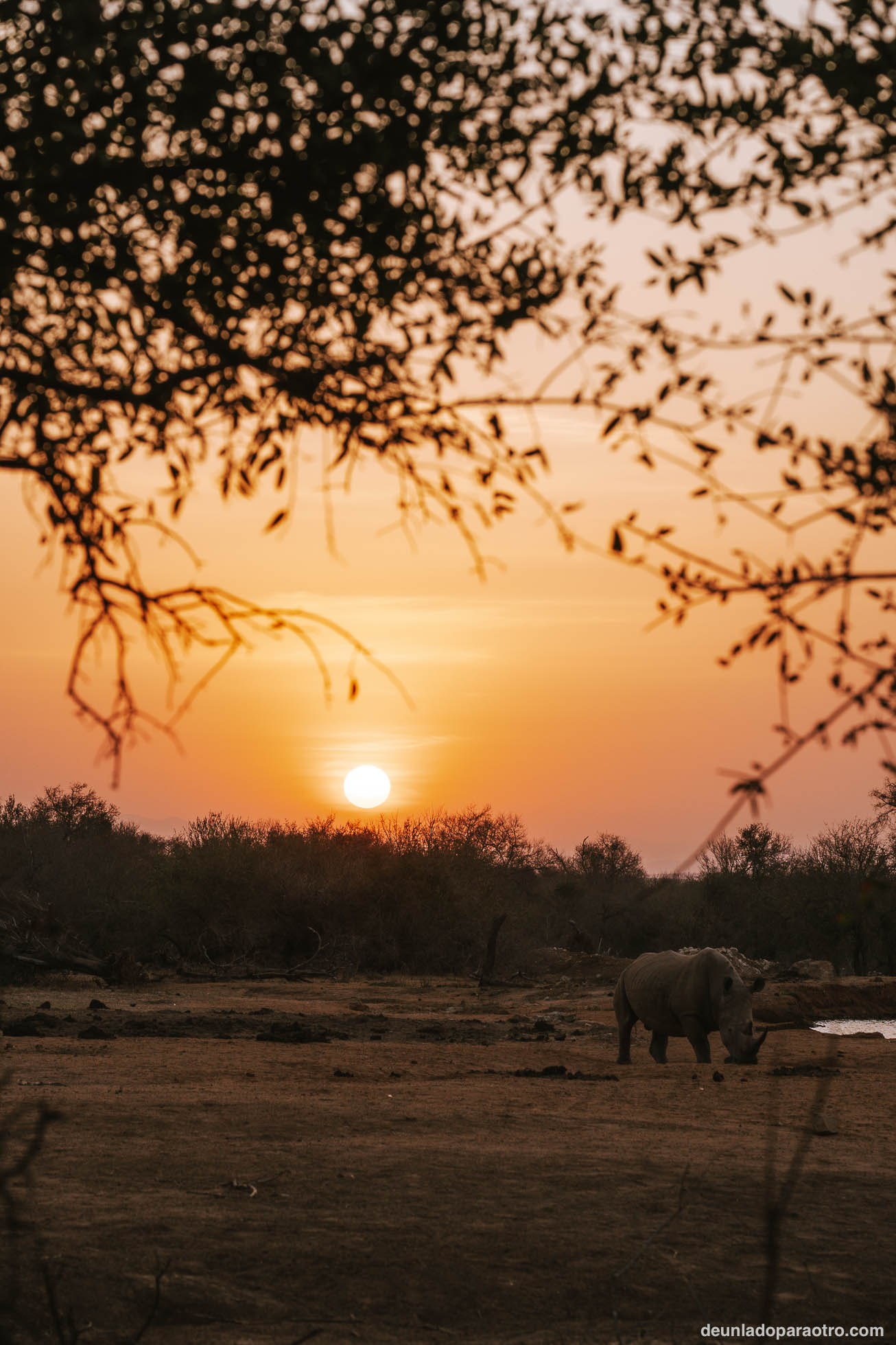 Visitar Hlane National Park en Eswatini