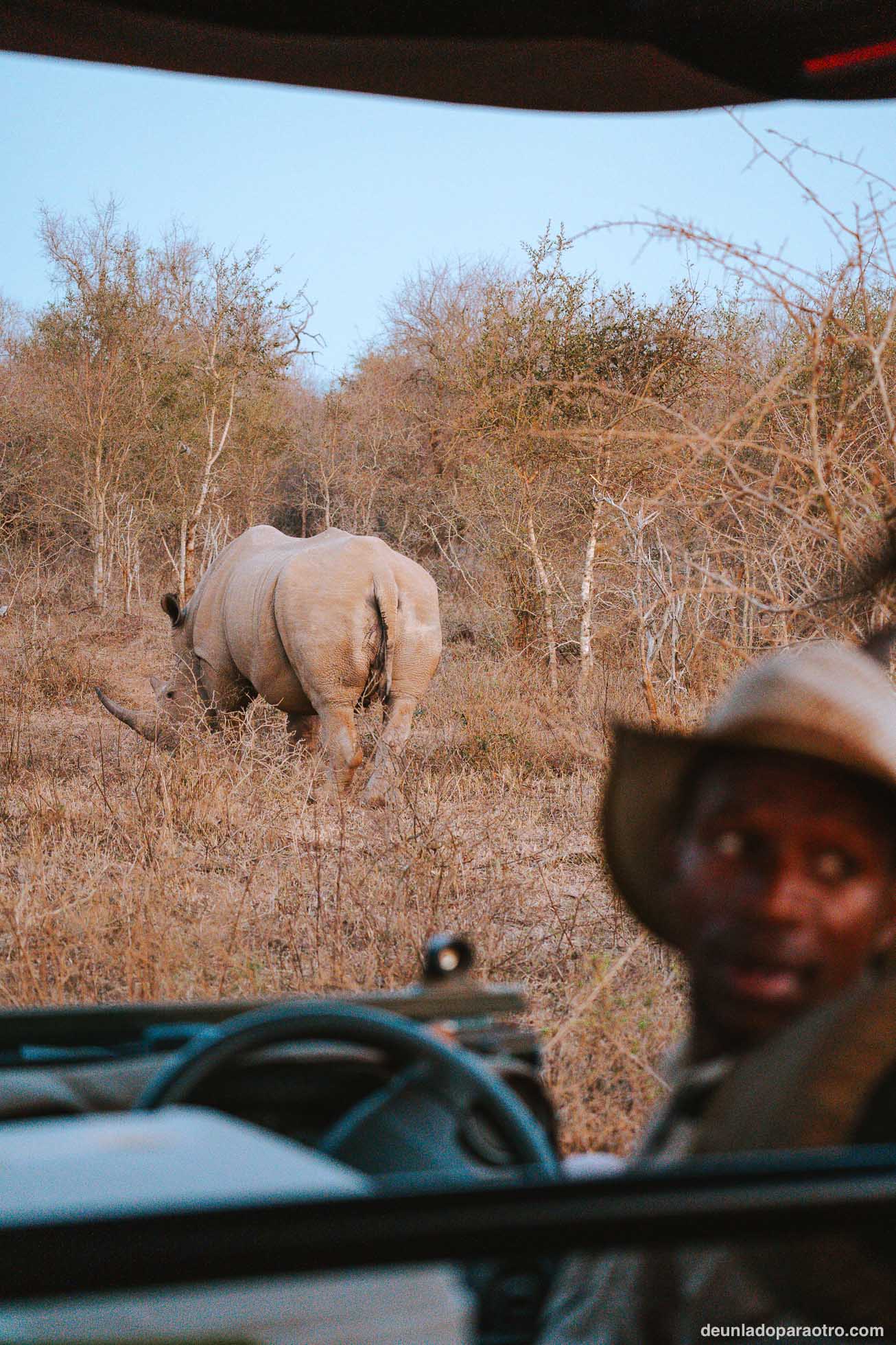 Visitar Hlane National Park en Eswatini