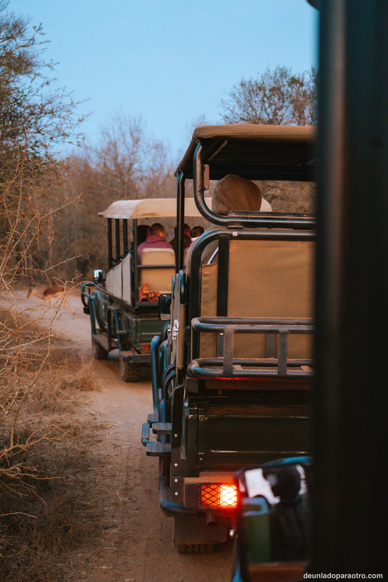 Game Drive en tu Visitar Hlane National Park en Eswatini
