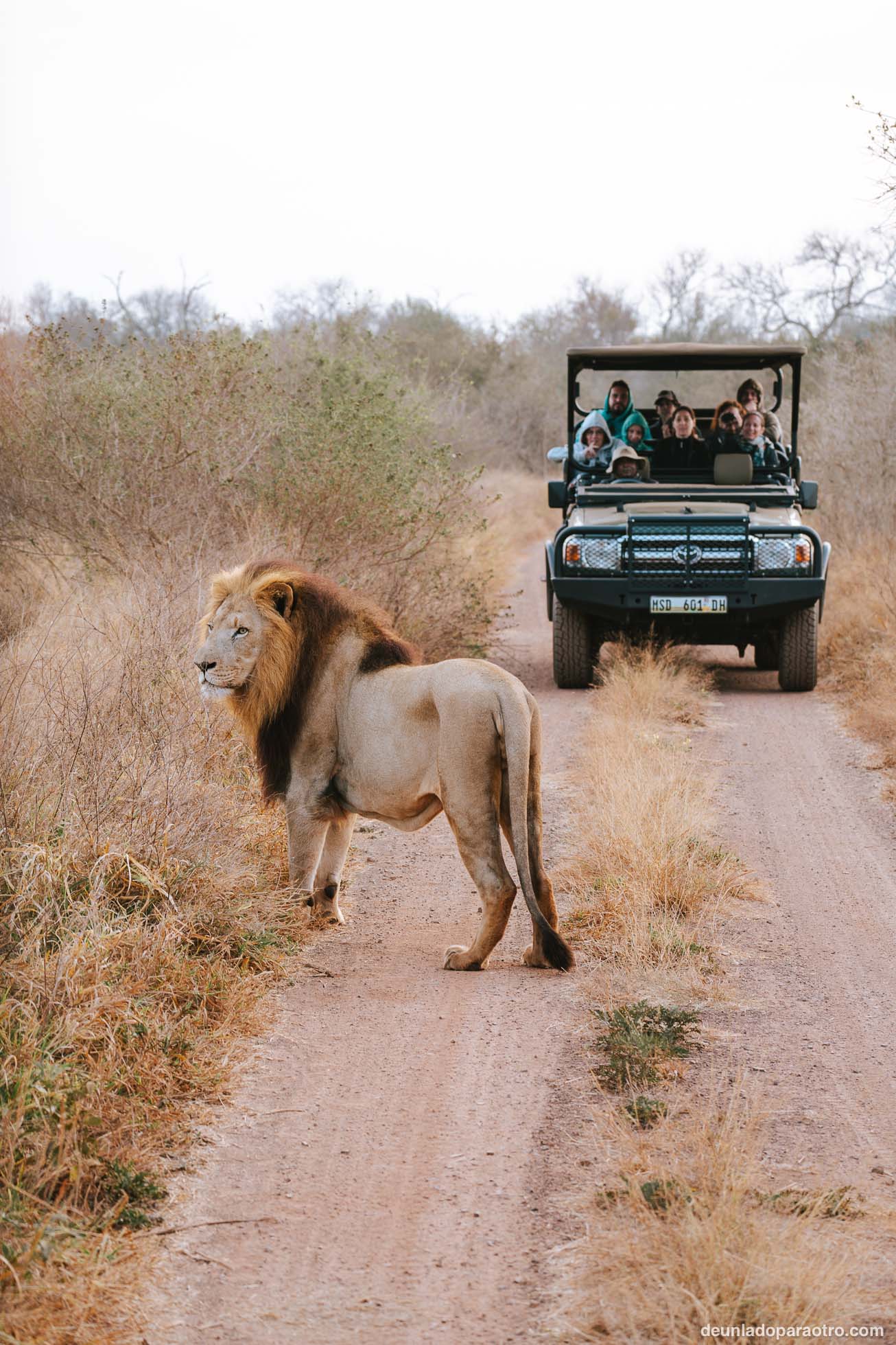 Visitar Hlane National Park en Eswatini