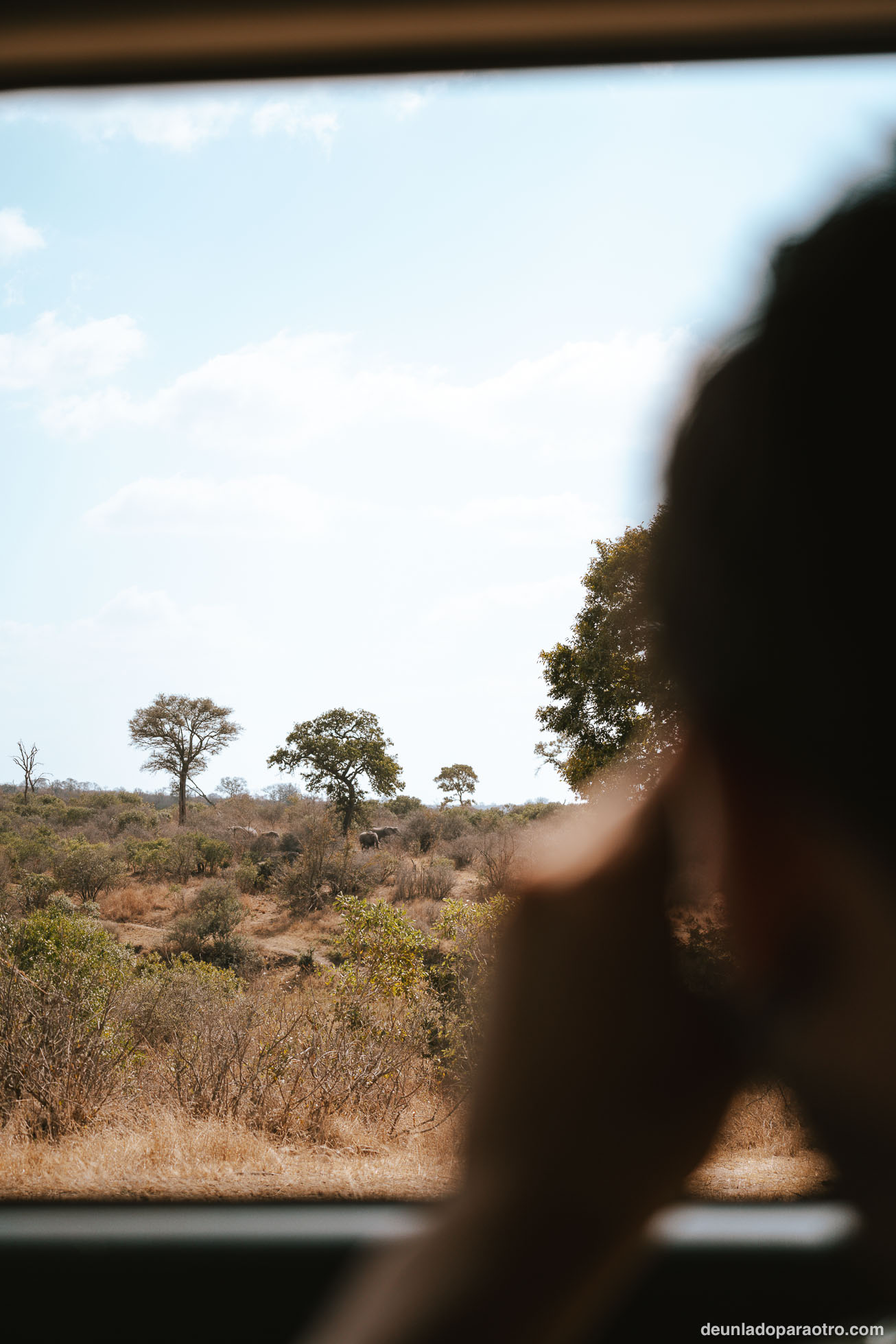 Visitar Hlane National Park en Eswatini