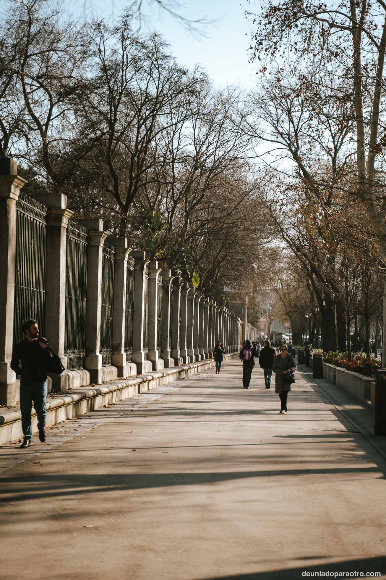 Visitar el Museo Nacional del Prado, un buen plan que hacer en Madrid
