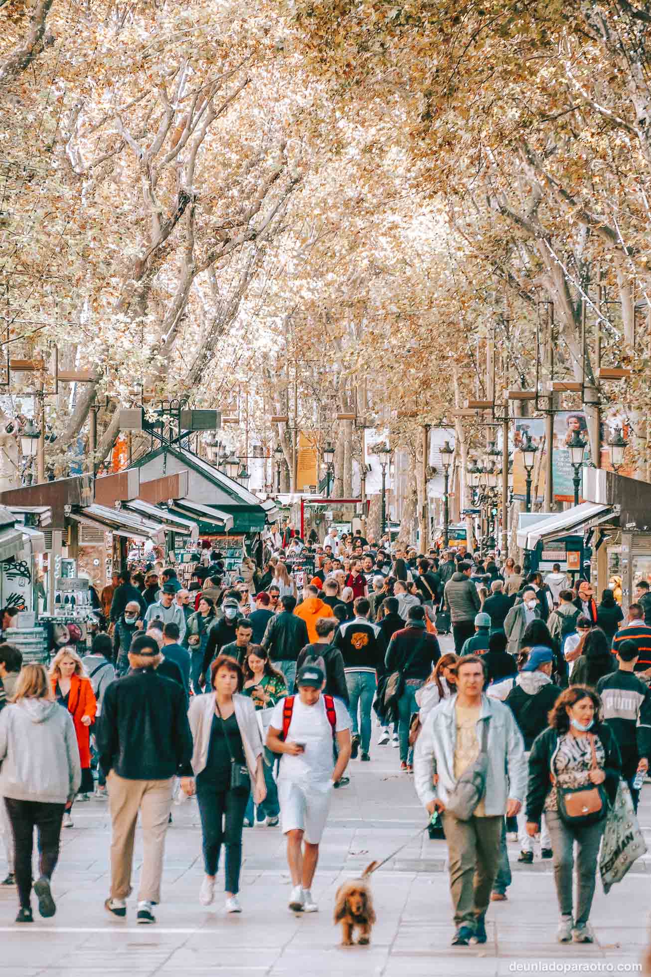 Las Ramblas, una visita obligada que hacer en Barcelona en 3 días