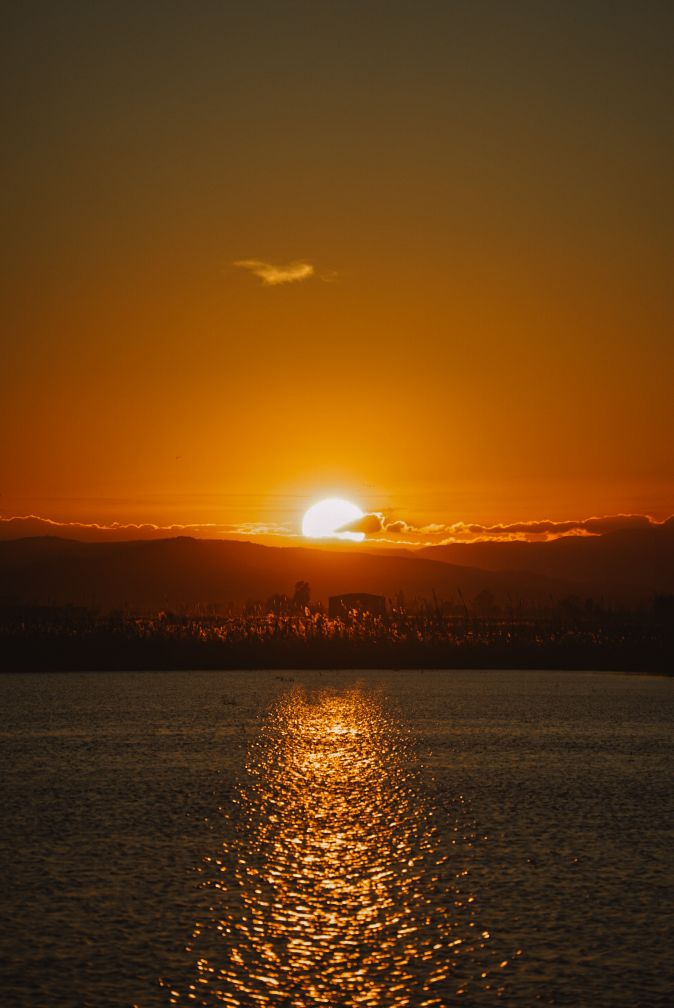 Delta del Ebro, una de las excursiones que hacer desde Barcelona en un día con paisajes únicos y atardeceres de postal