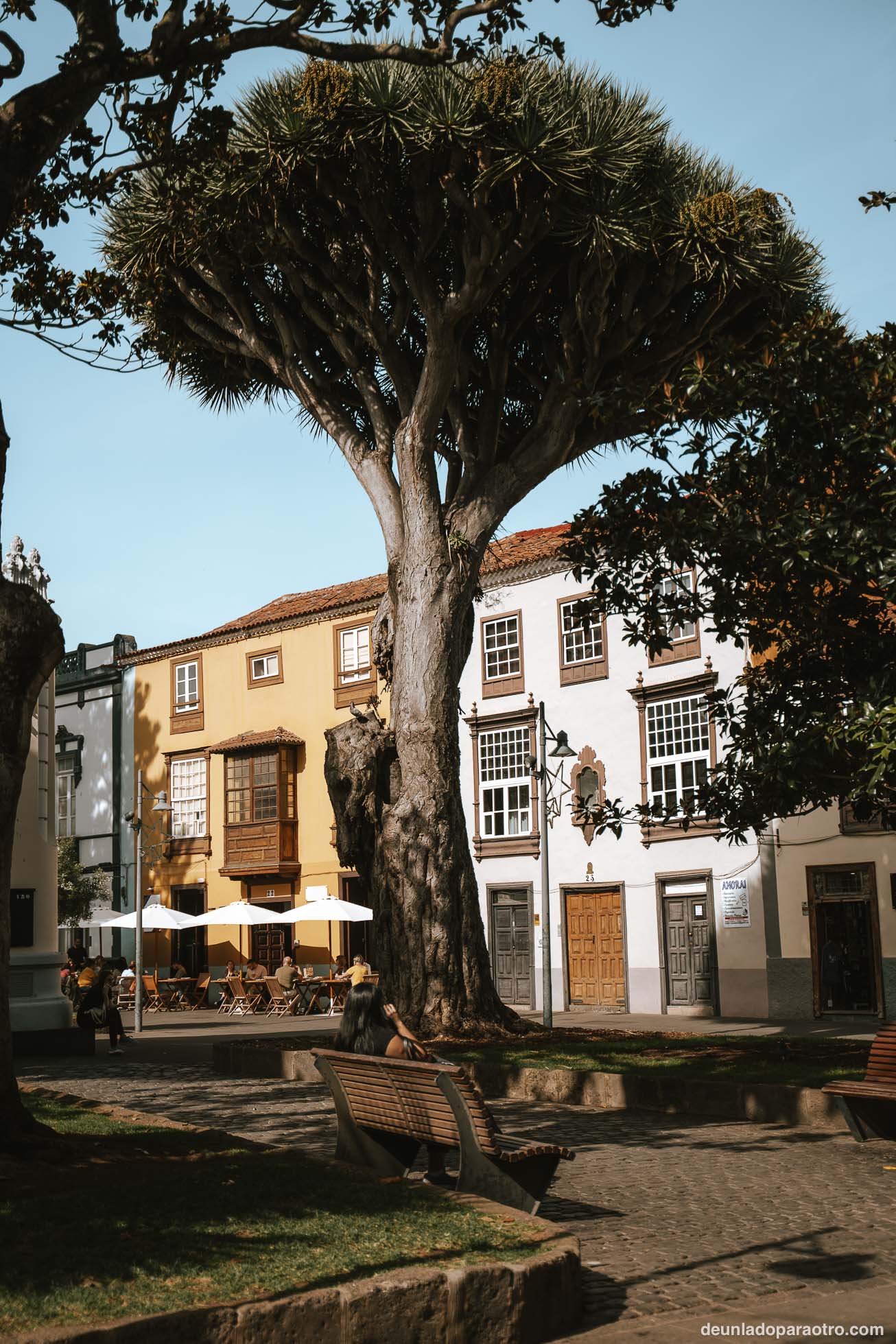 Tenerife en 6 días