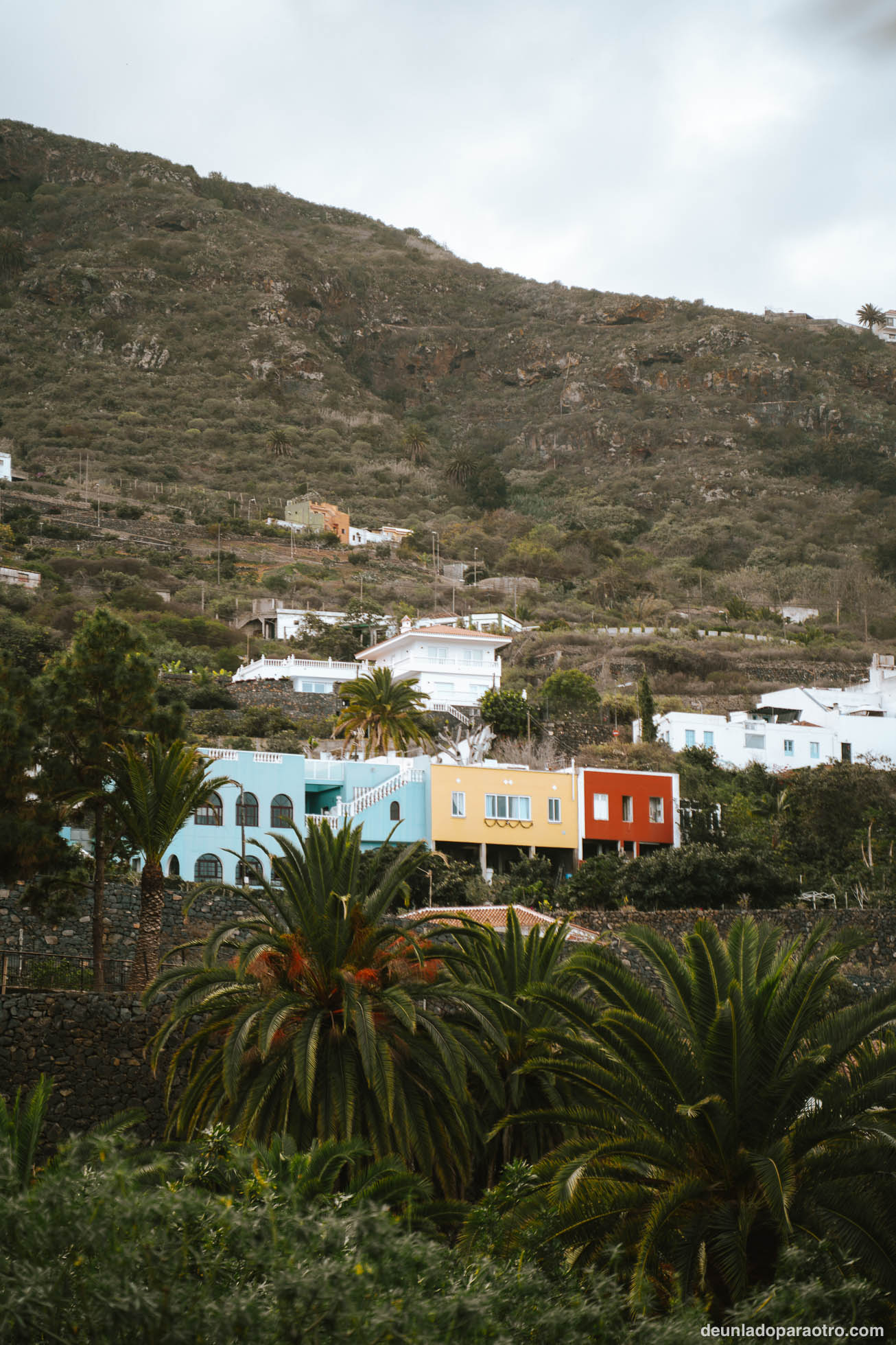 Ruta en coche por Tenerife, Icod de los Vinos