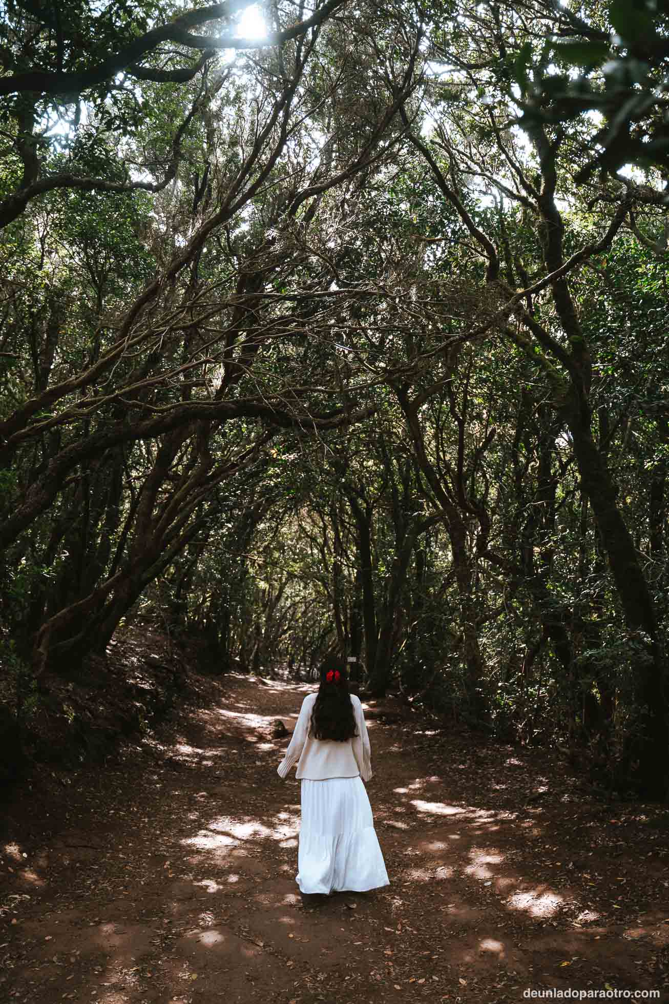 Parque Rural de Anaga, un espacio natural protegido que ver en Tenerife