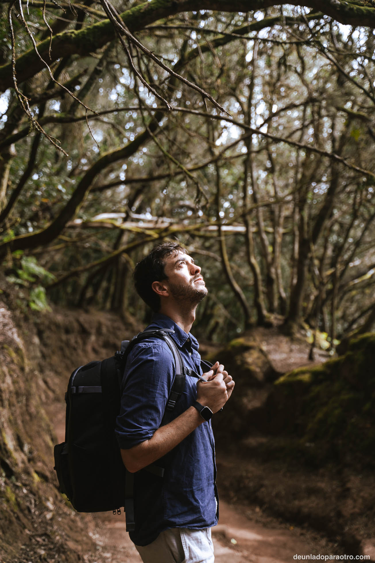 Parque Rural de Anaga, un espacio natural protegido que ver en Tenerife