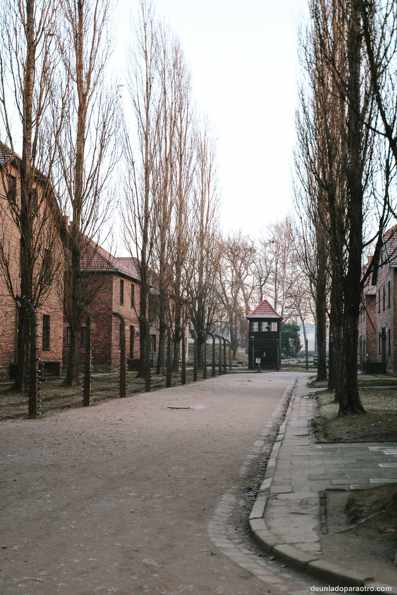 Auschwitz-Birkenau, la visita más importante que hacer en Cracovia y sus alrededores