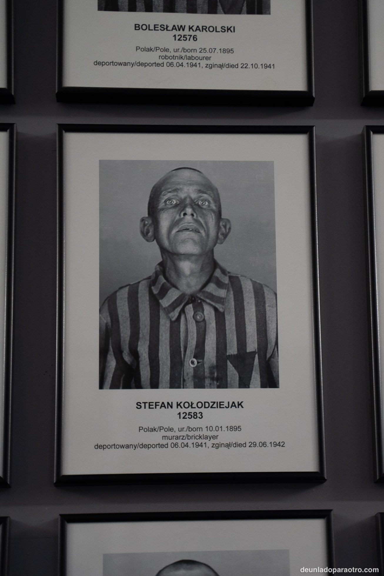 como ir de Cracovia a auschwitz y excursión a Auschwitz para visitar