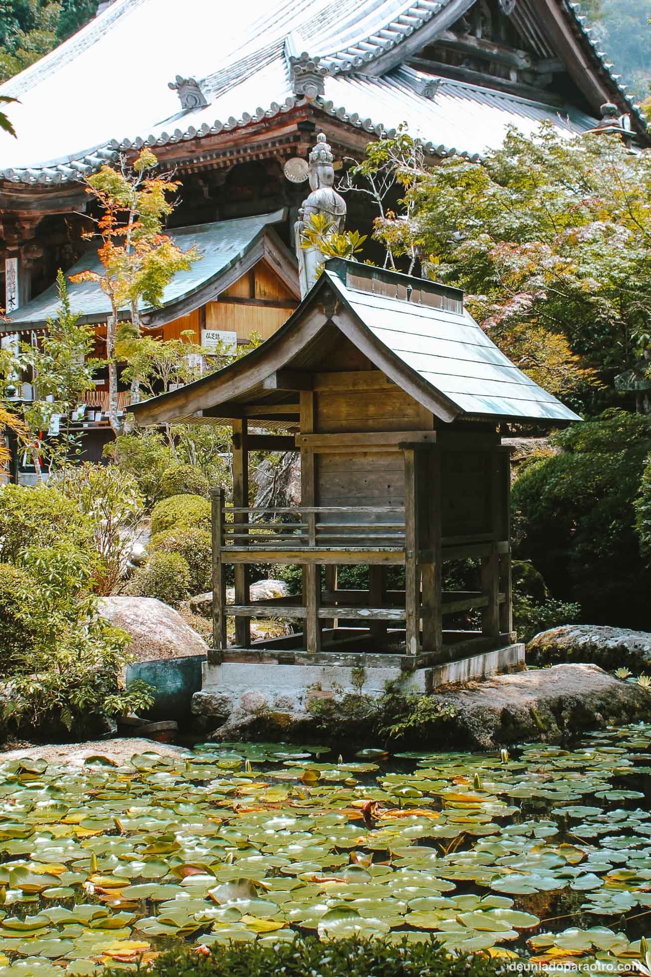 Que ver en Japon en 15 dias