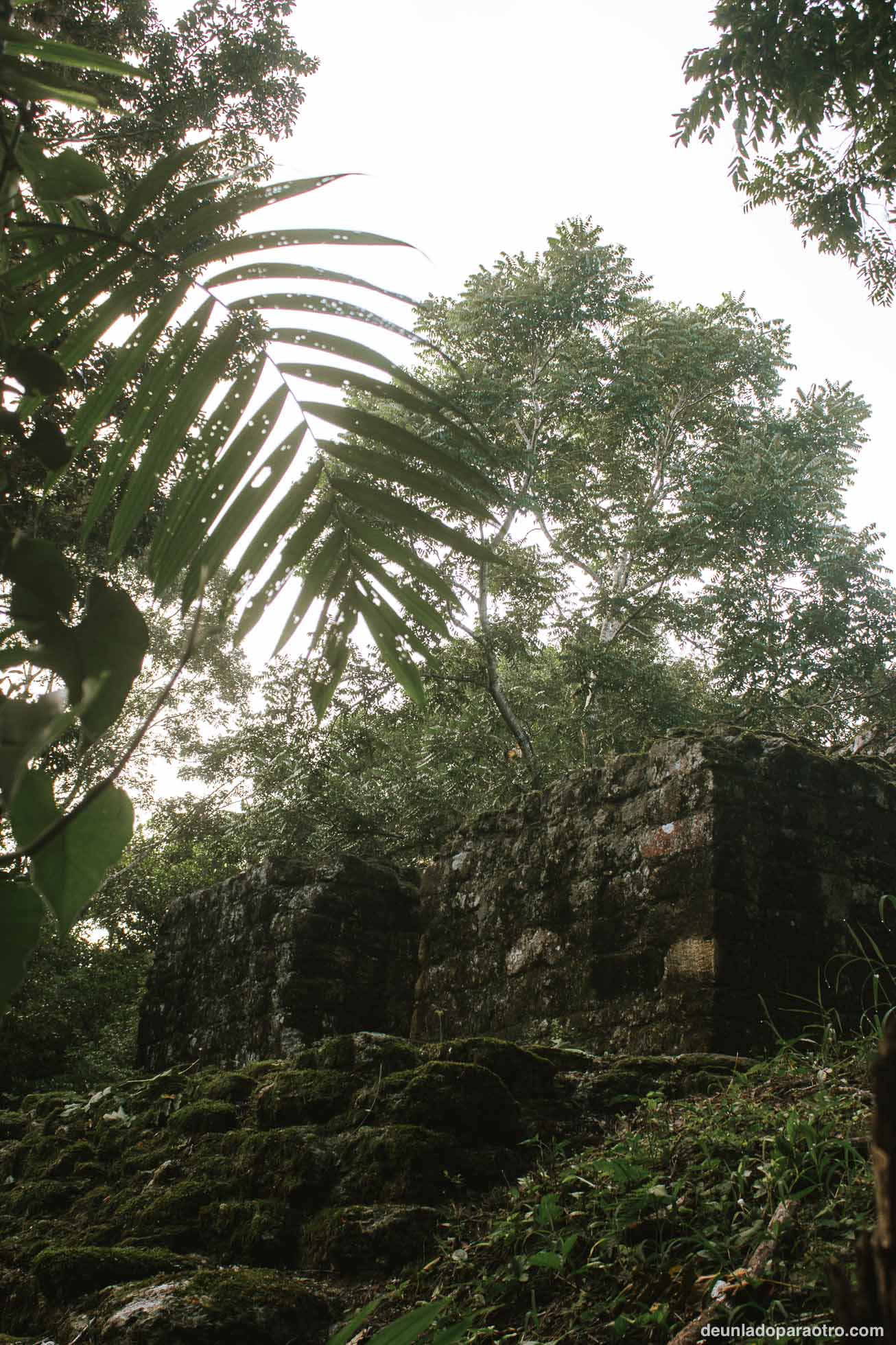 Tikal, un lugar imprescindible que ver en Guatemala
