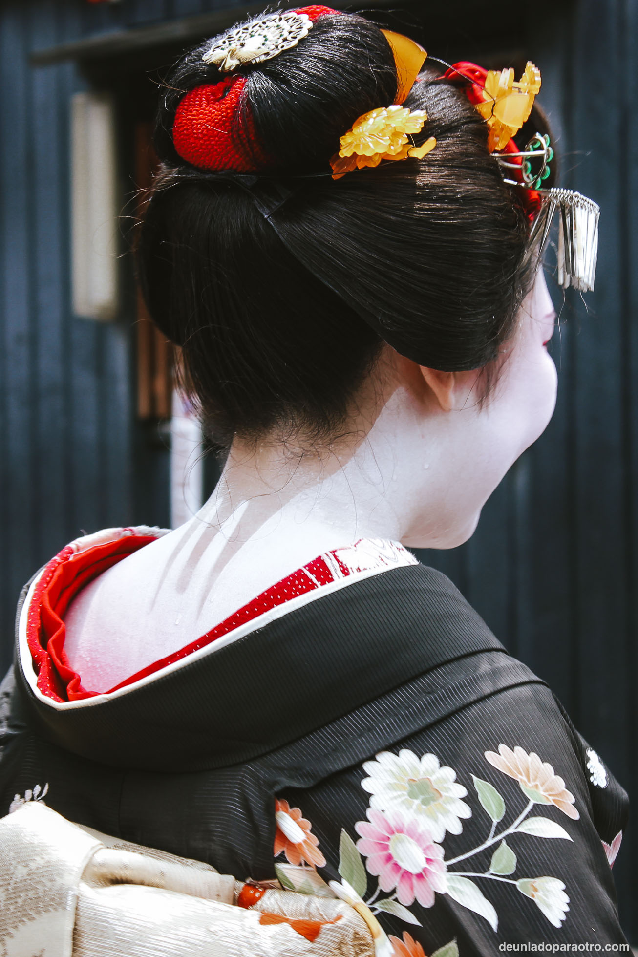 Que ver en Japon en 15 dias