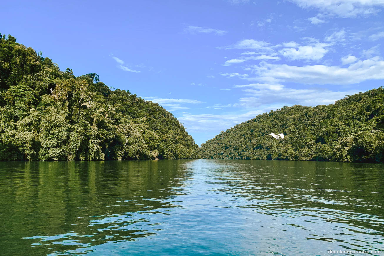 Parque Nacional Río Dulce, un tesoro natural que ver en Guatemala