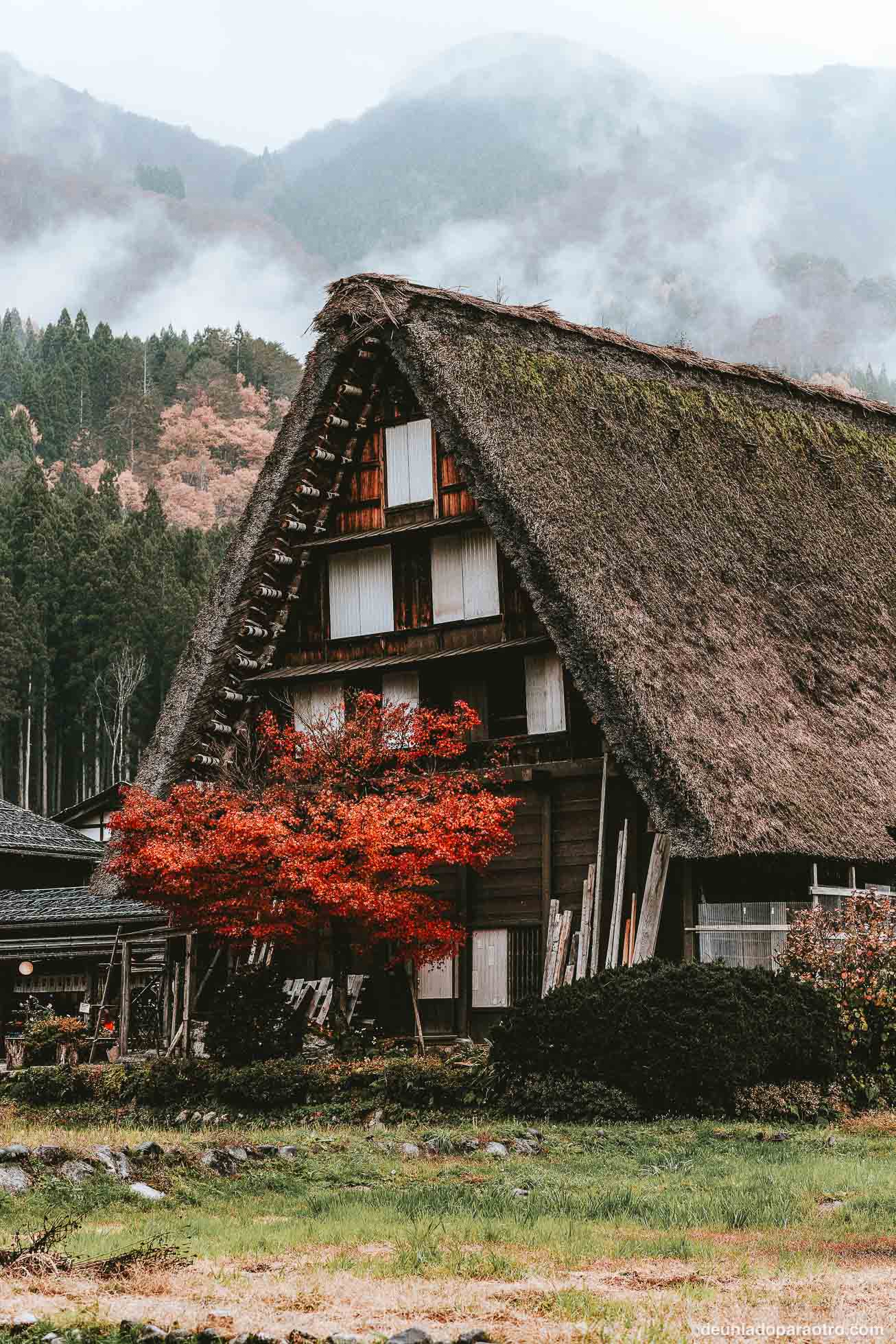 Que ver en Japon en 15 dias