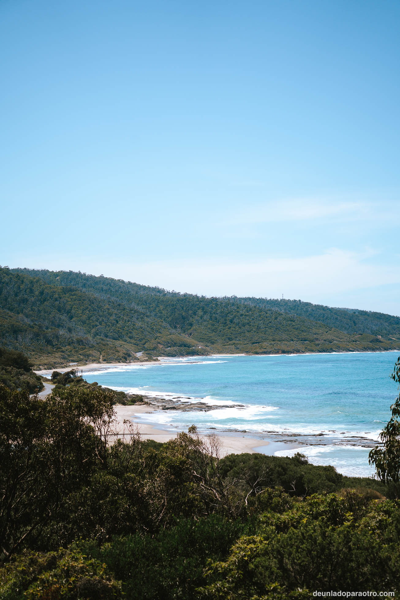 Kennet River, uno de los mejores lugares para ver koalas en tu ruta por la Great Ocean Road en 2 días