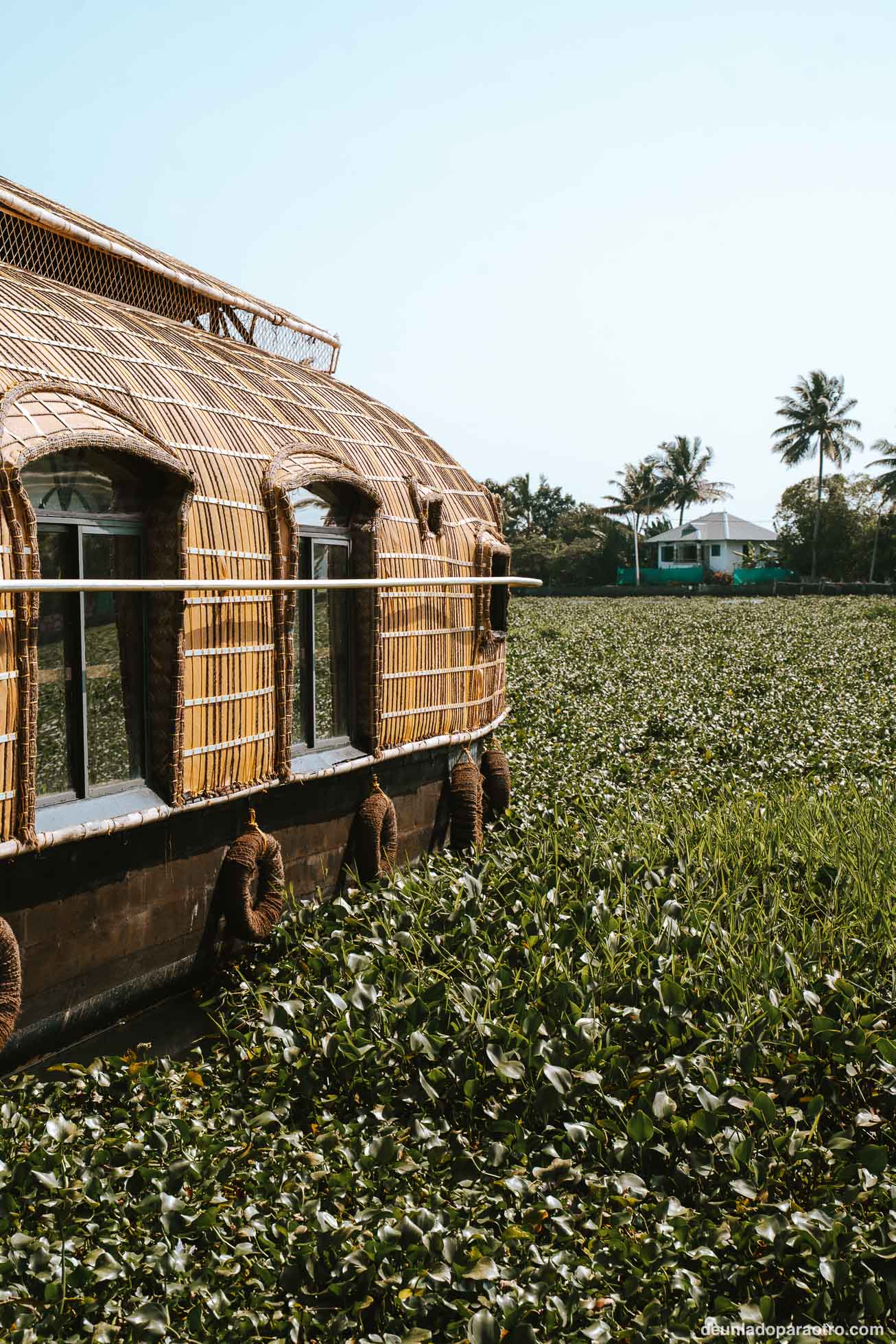 Alleppey, el corazón de los backwaters y uno de los mejores lugares que visitar en Kerala
