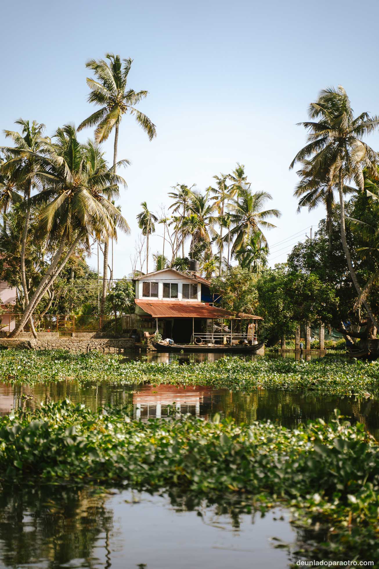Alleppey, el corazón de los backwaters y uno de los mejores lugares que visitar en Kerala