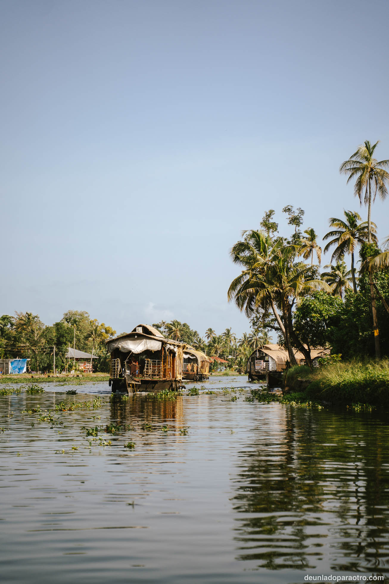 Alleppey, el corazón de los backwaters y uno de los mejores lugares que visitar en Kerala