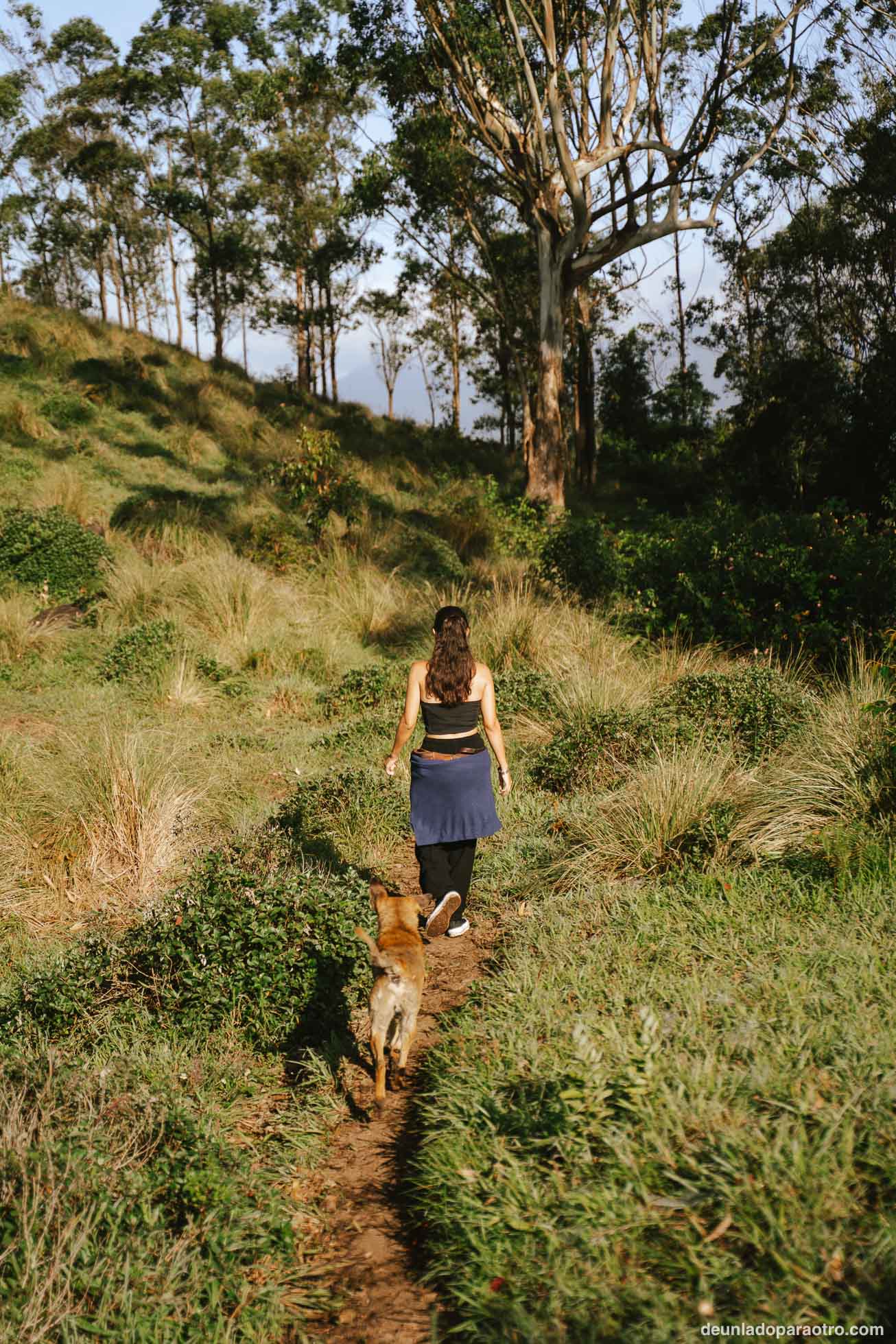 Munnar, el mejor sitio para desconectar rodeado de montañas y campos de té