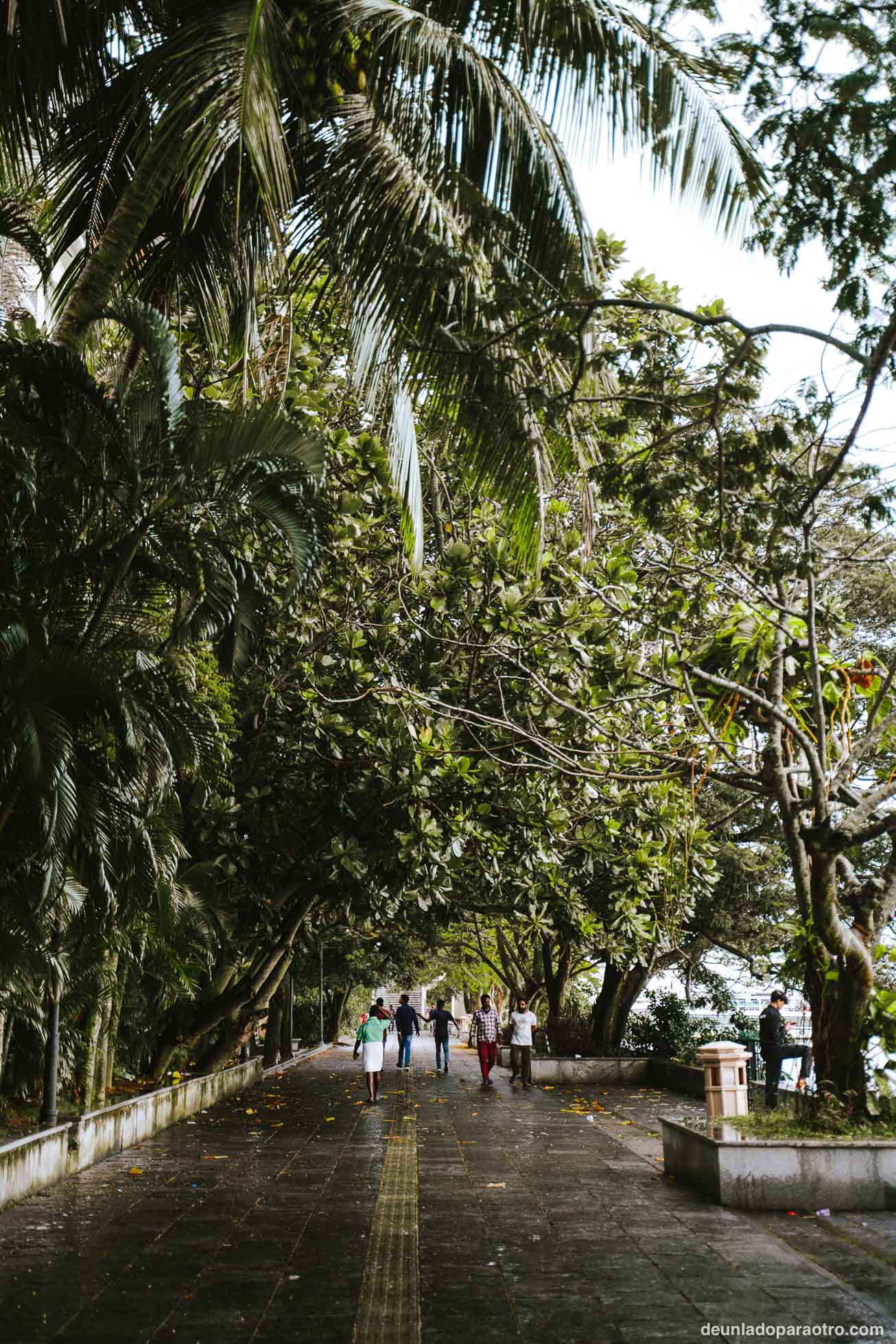 Cochín (Kochi), una ciudad histórica que ver en Kerala