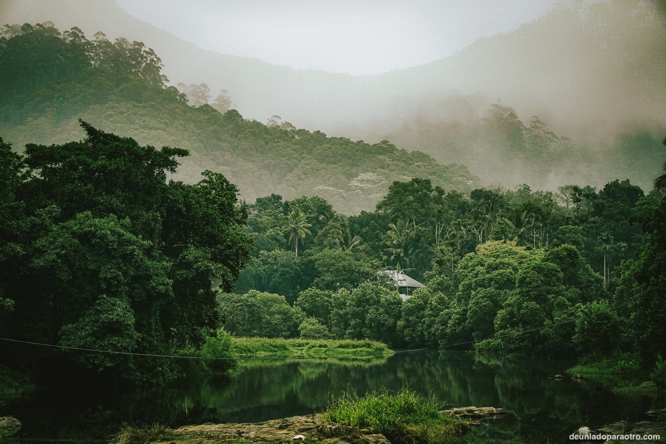 Parque Nacional de Periyar (Thekkady), un santuario natural que ver en Kerala