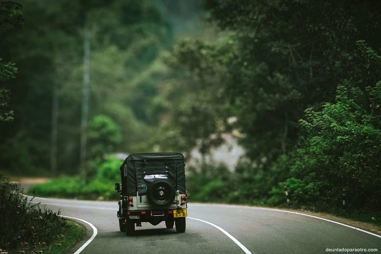 Parque Nacional de Periyar (Thekkady), un santuario natural que ver en Kerala