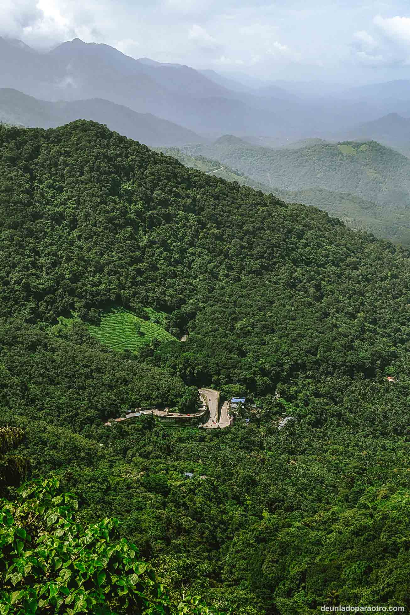 Wayanad, una escapada rural poco conocida que hacer en Kerala